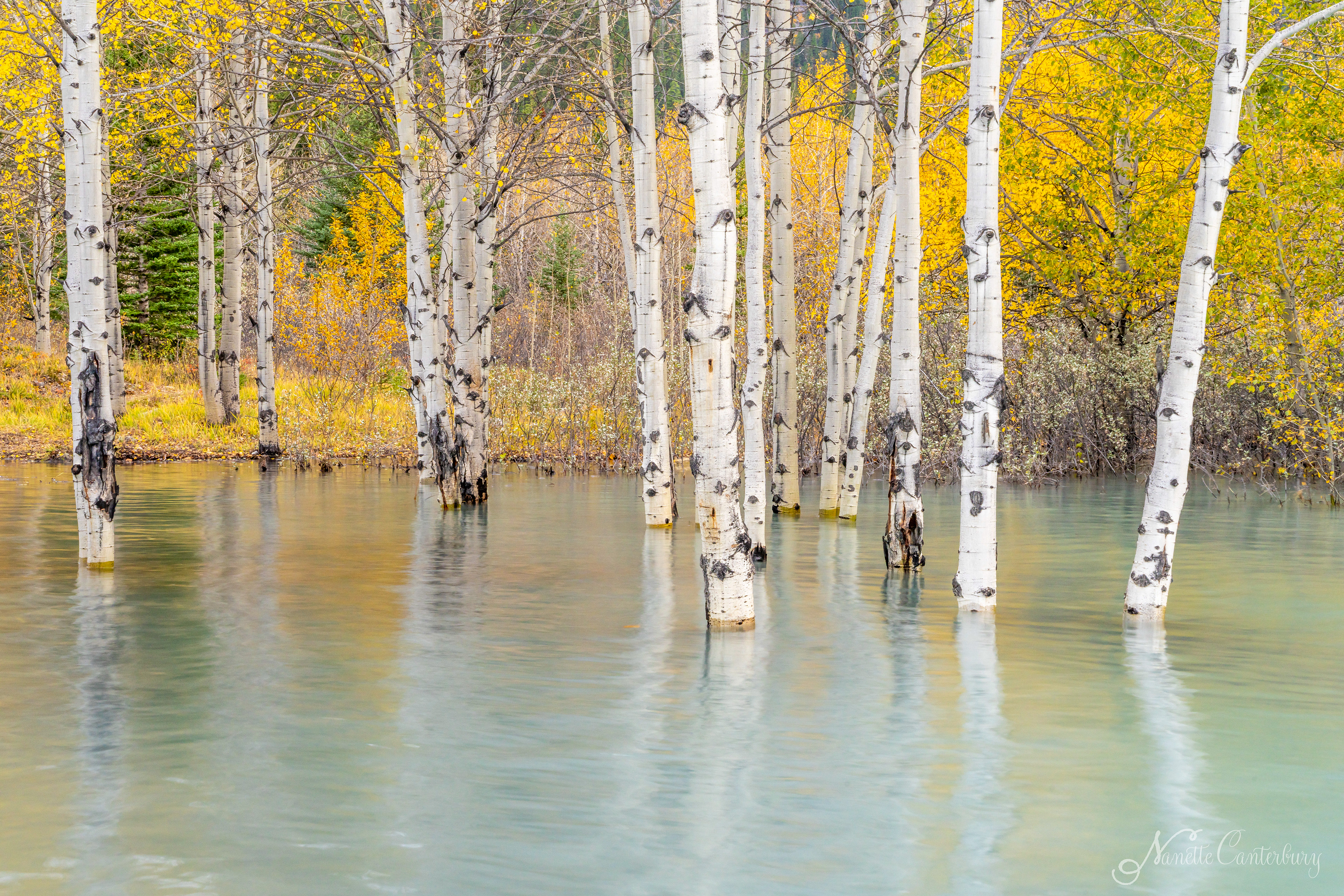 Abraham Lake