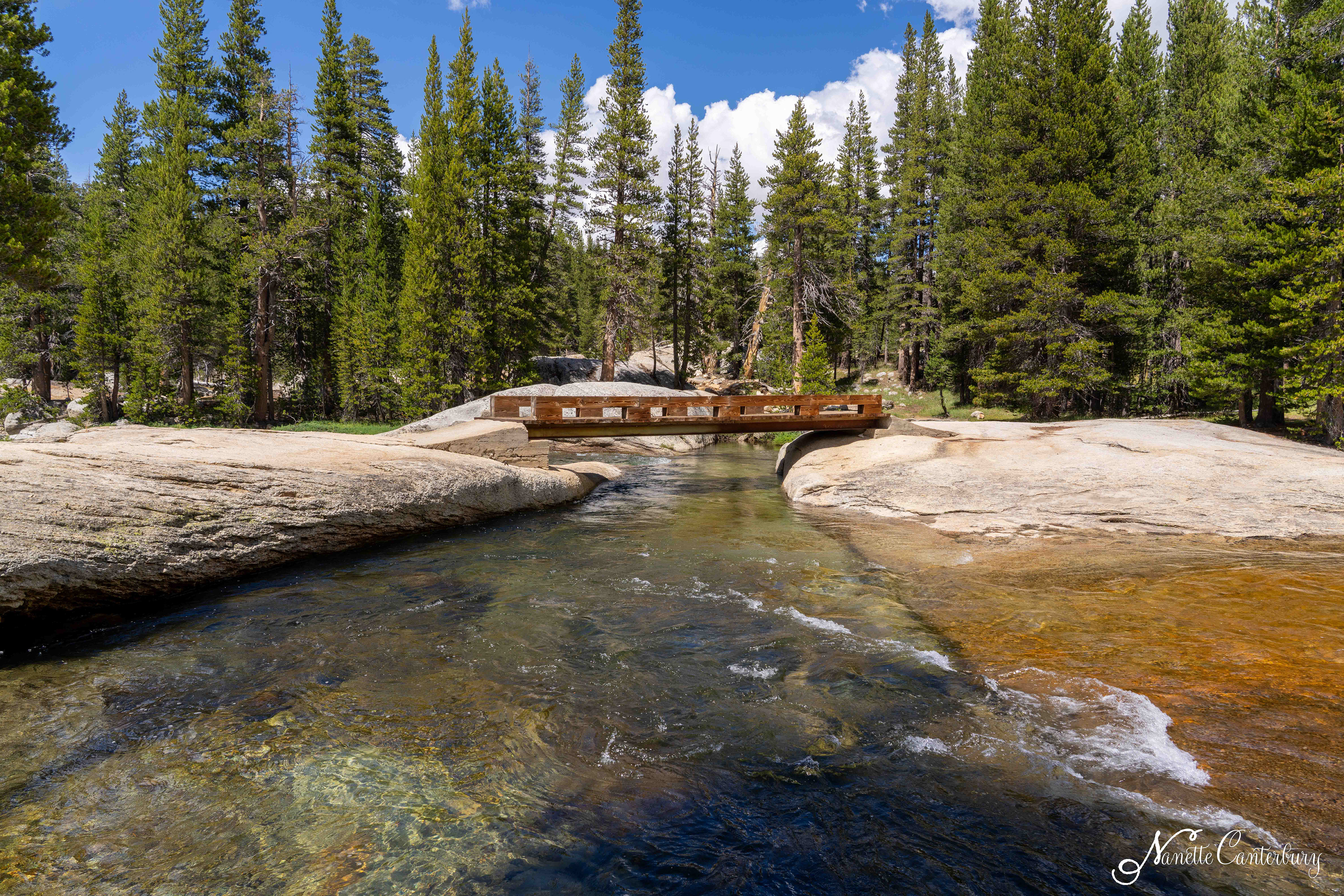 Tuolumne Meadows