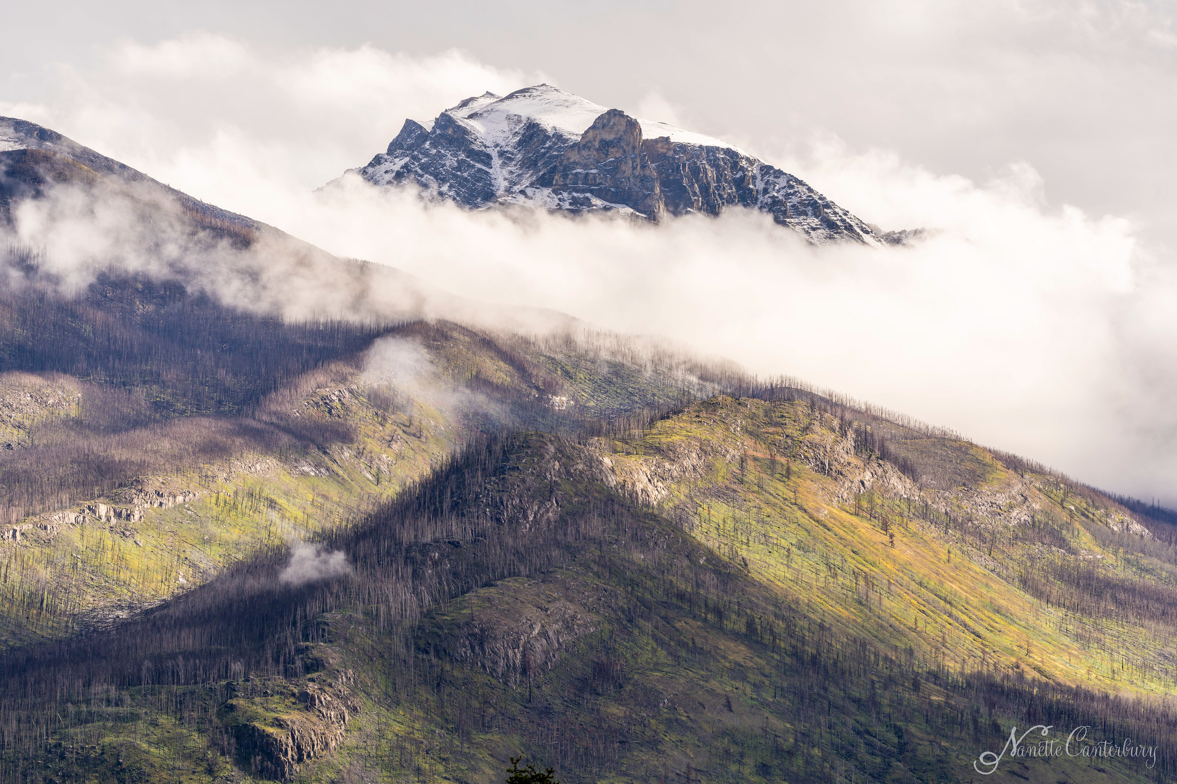 Jasper NP