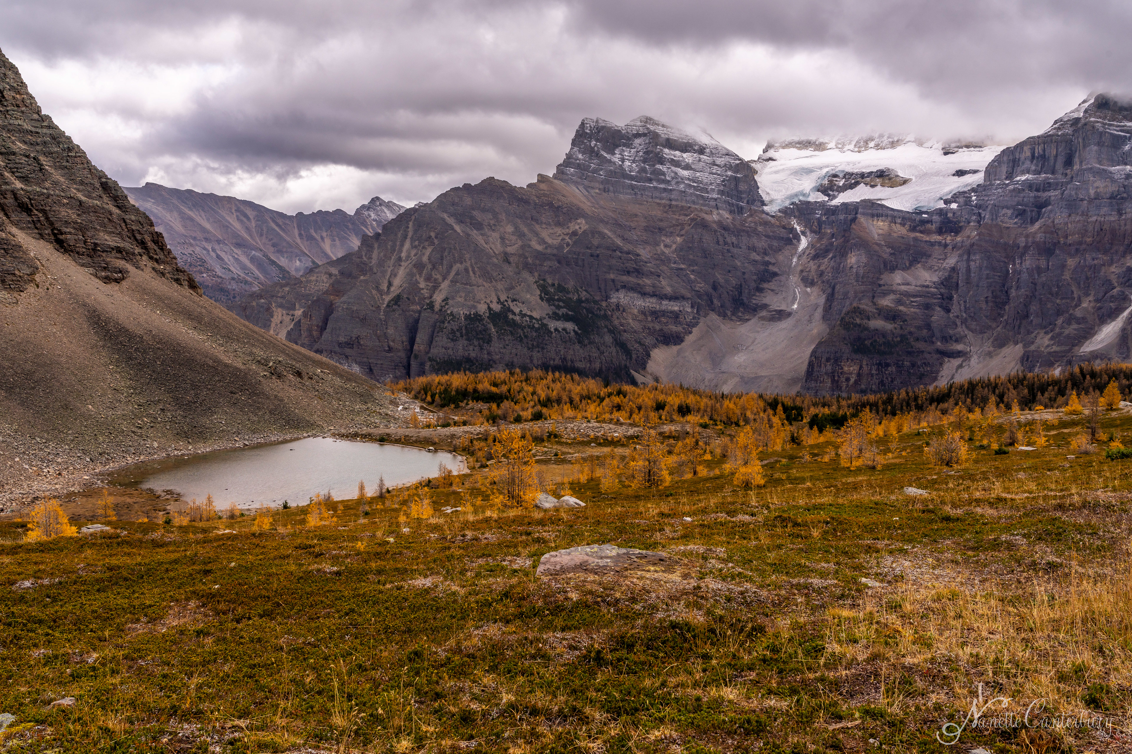 Larch Valley Trail