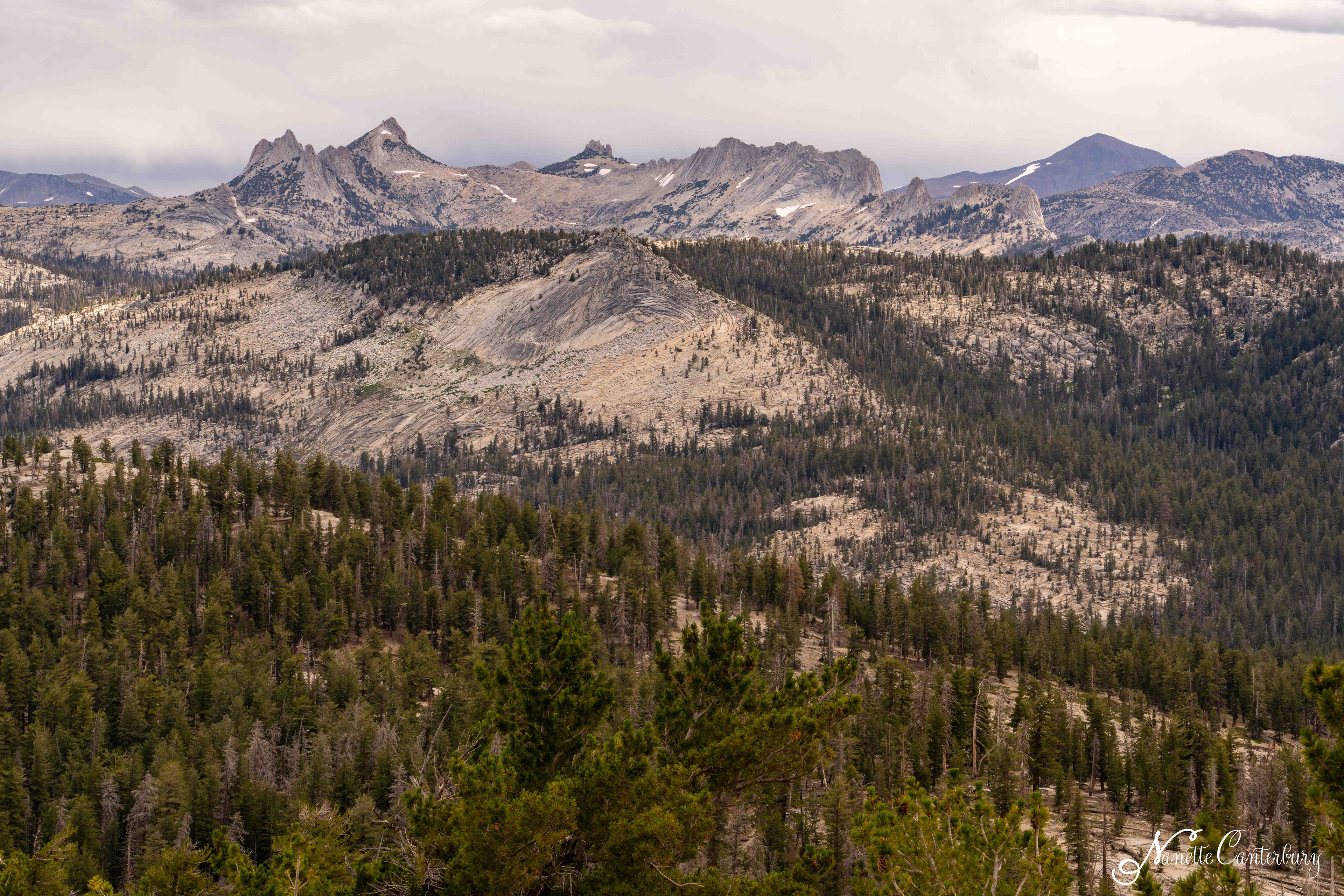 Clouds Rest Trail