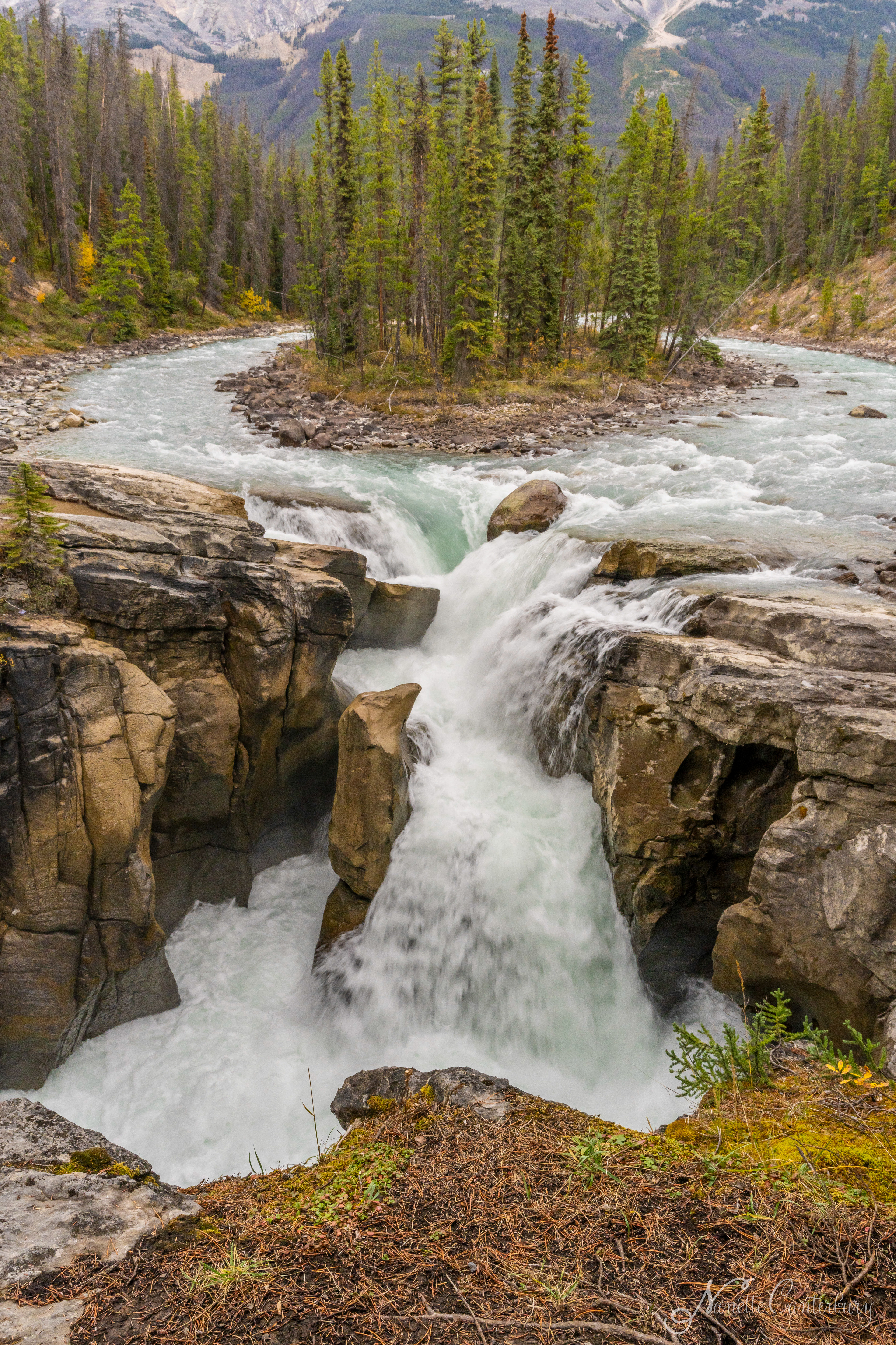 Sunwapta Falls