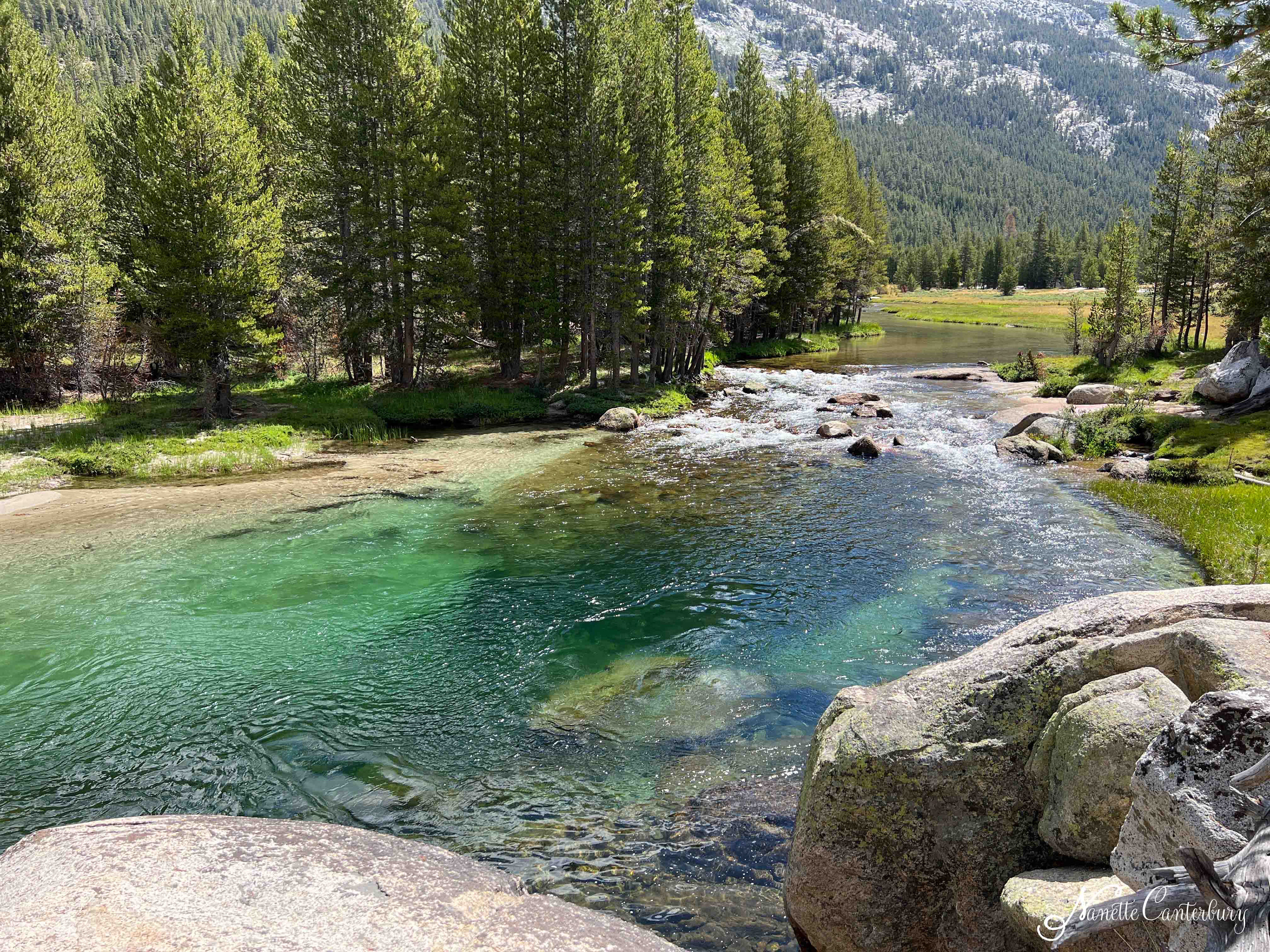 Tuolumne Meadows