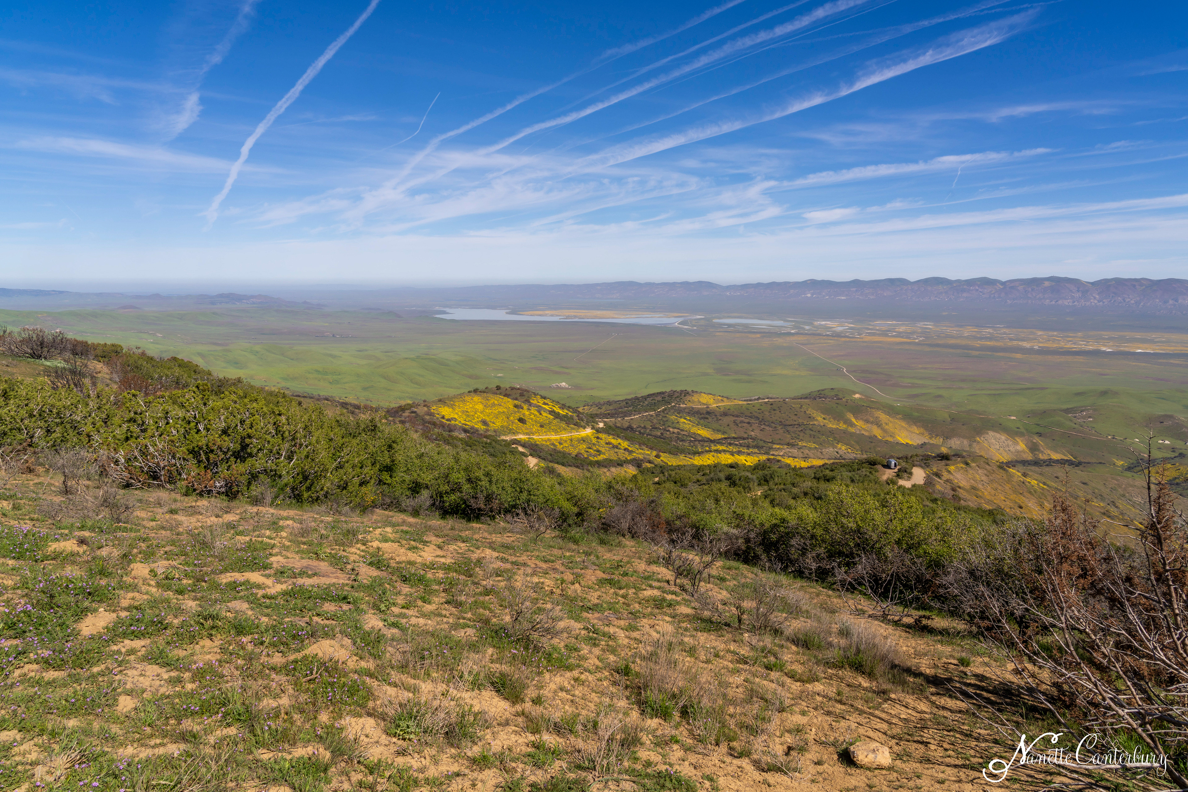 Soda Lake and the Carrizo Plain valley floor