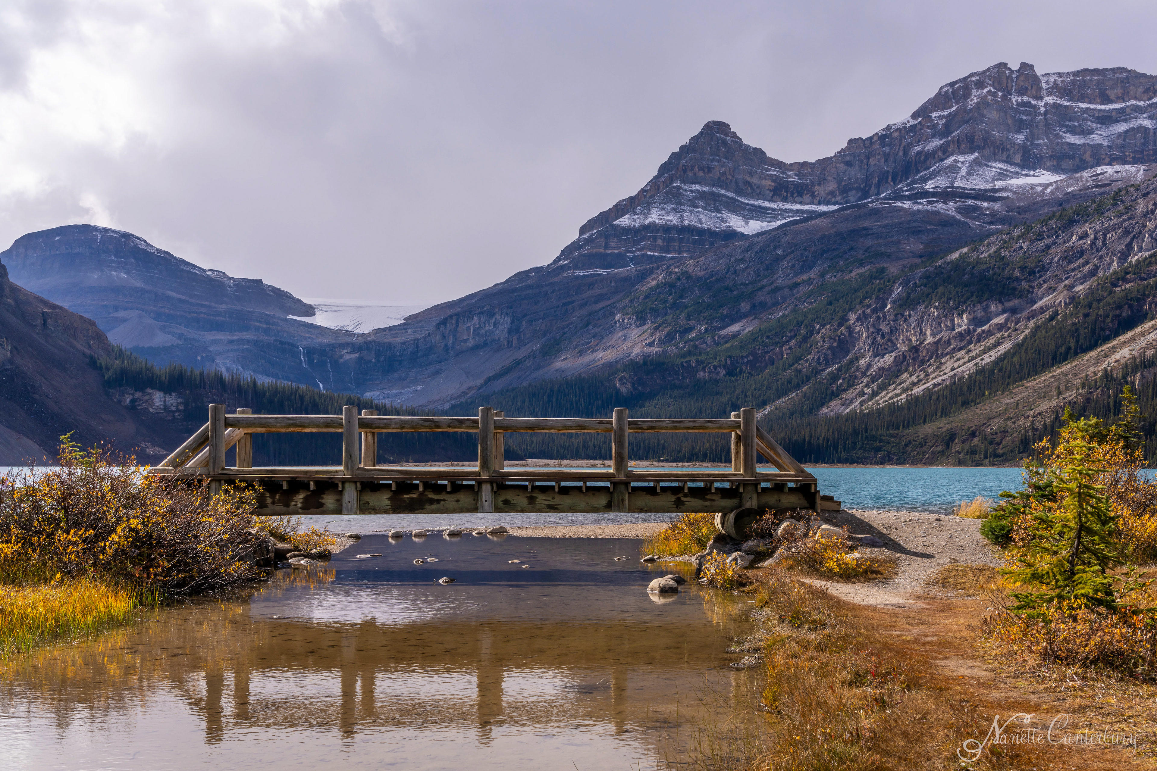 Bow Lake