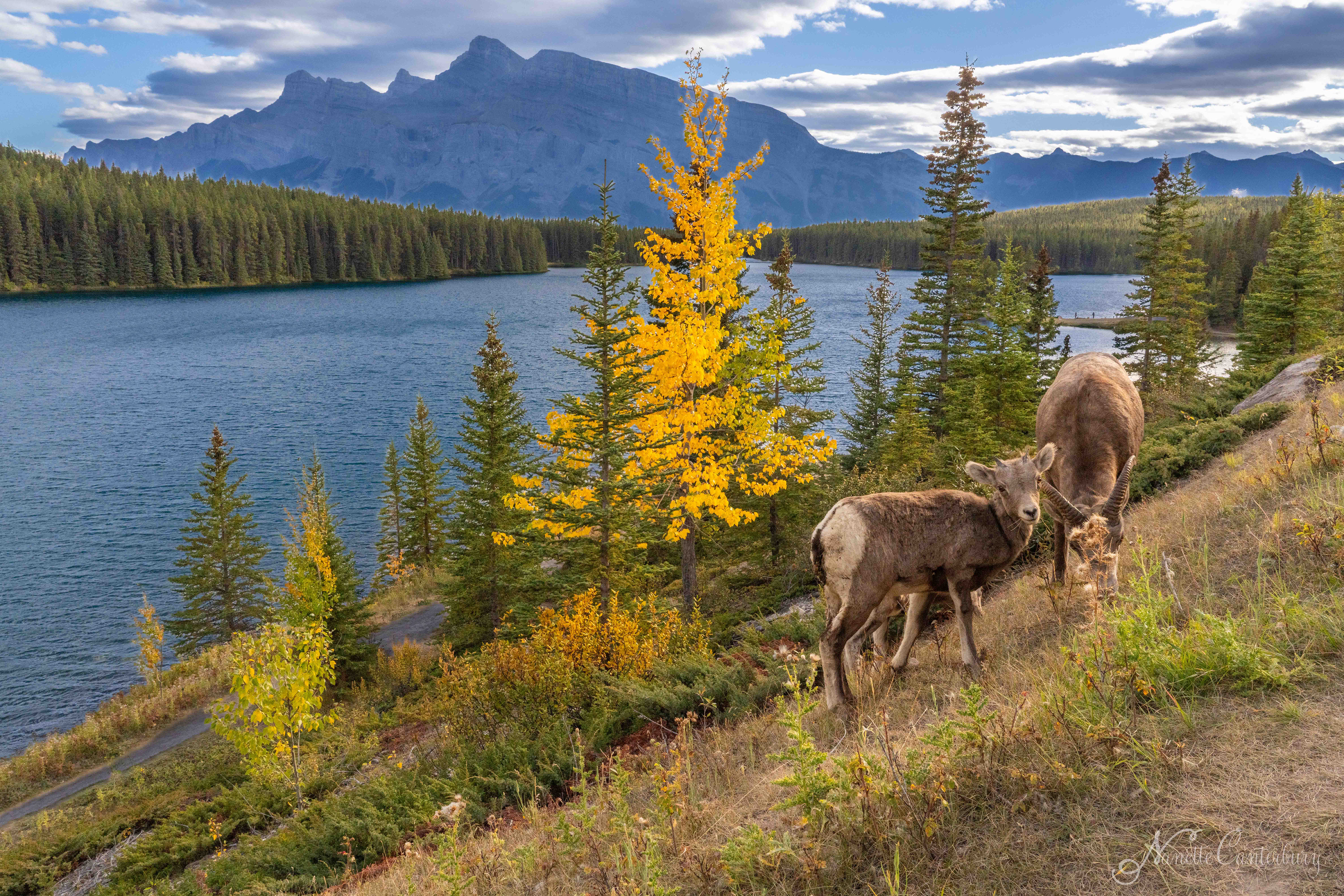 Two Jack Lake