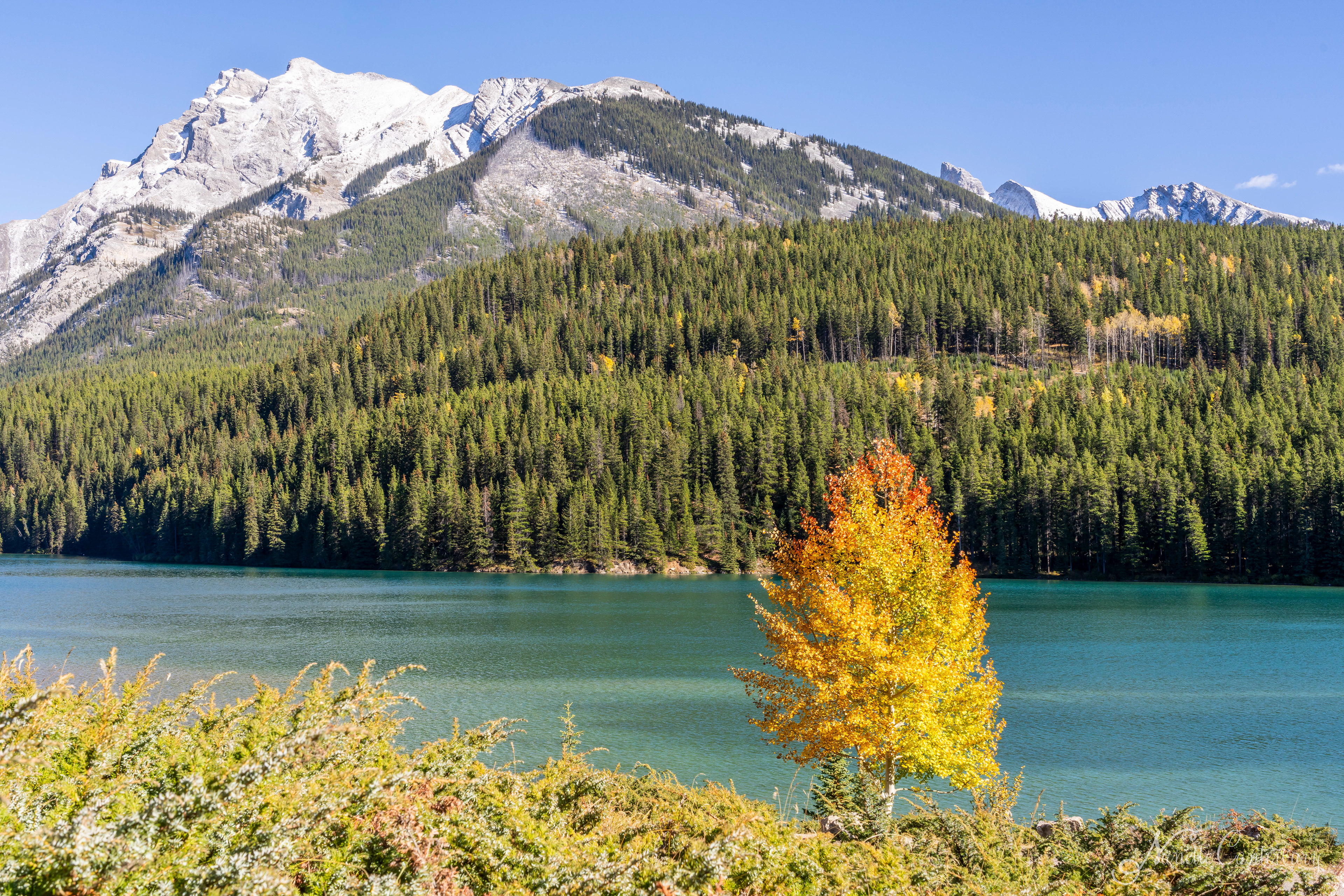 Two Jack Lake