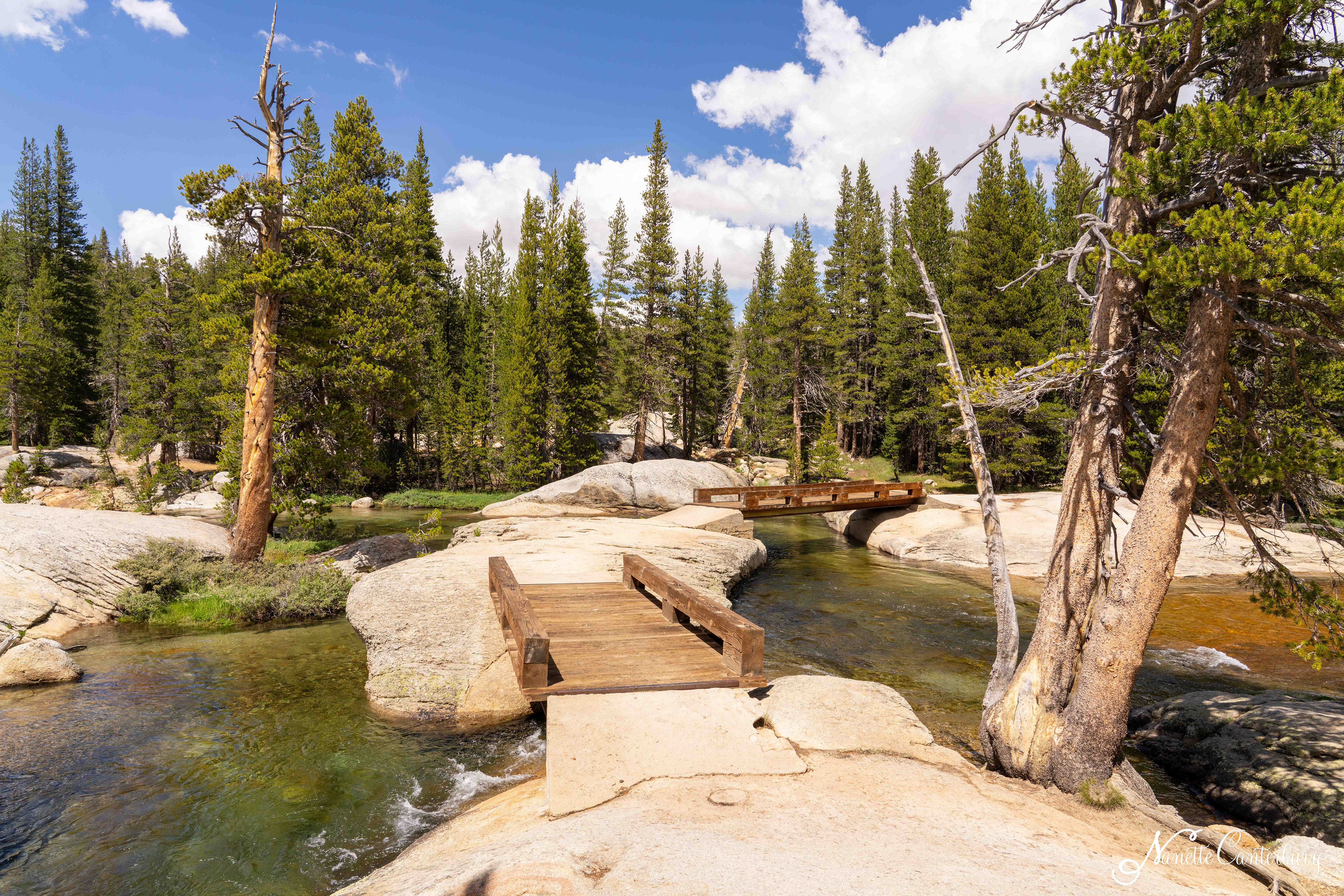 Tuolumne Meadows