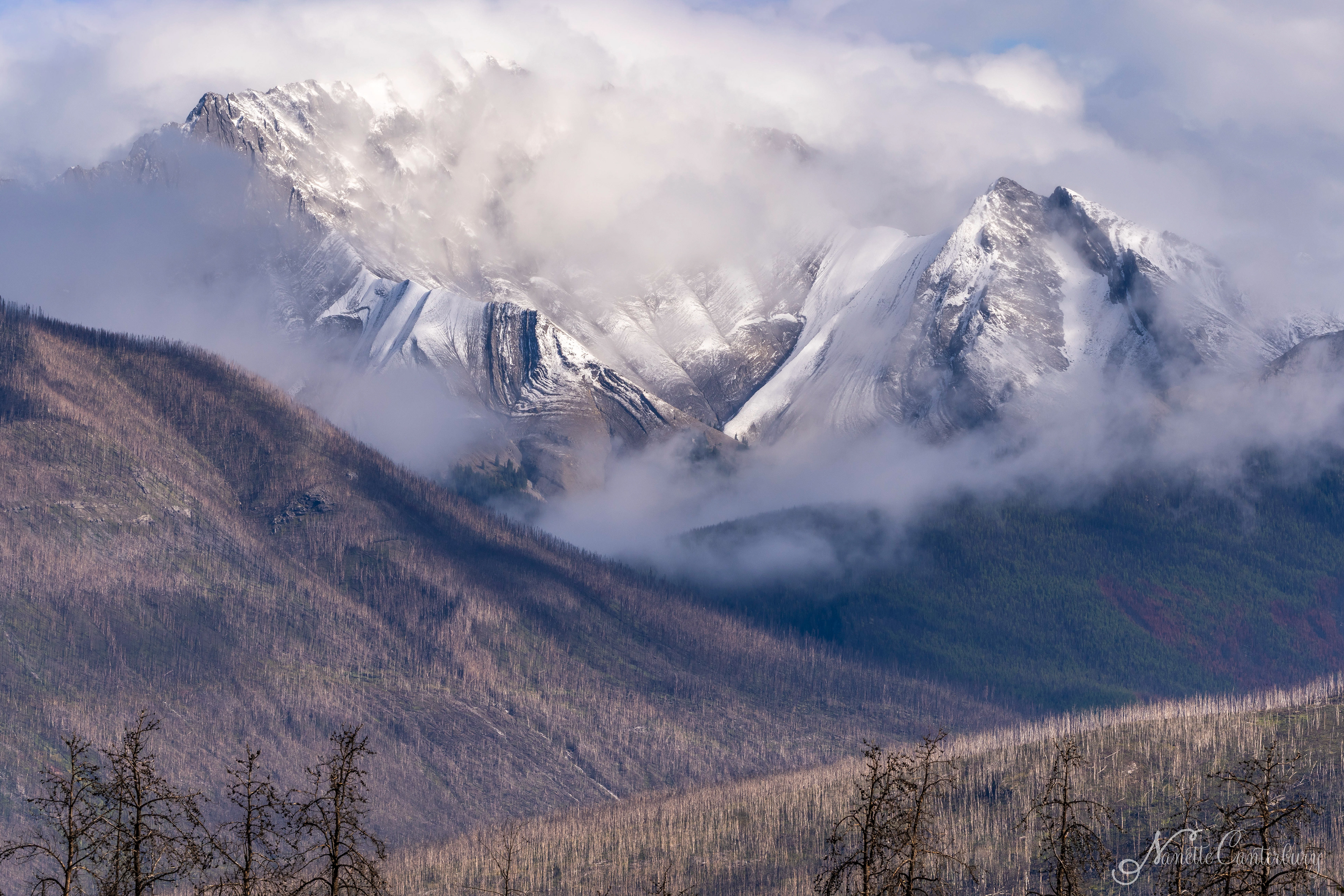 Jasper NP