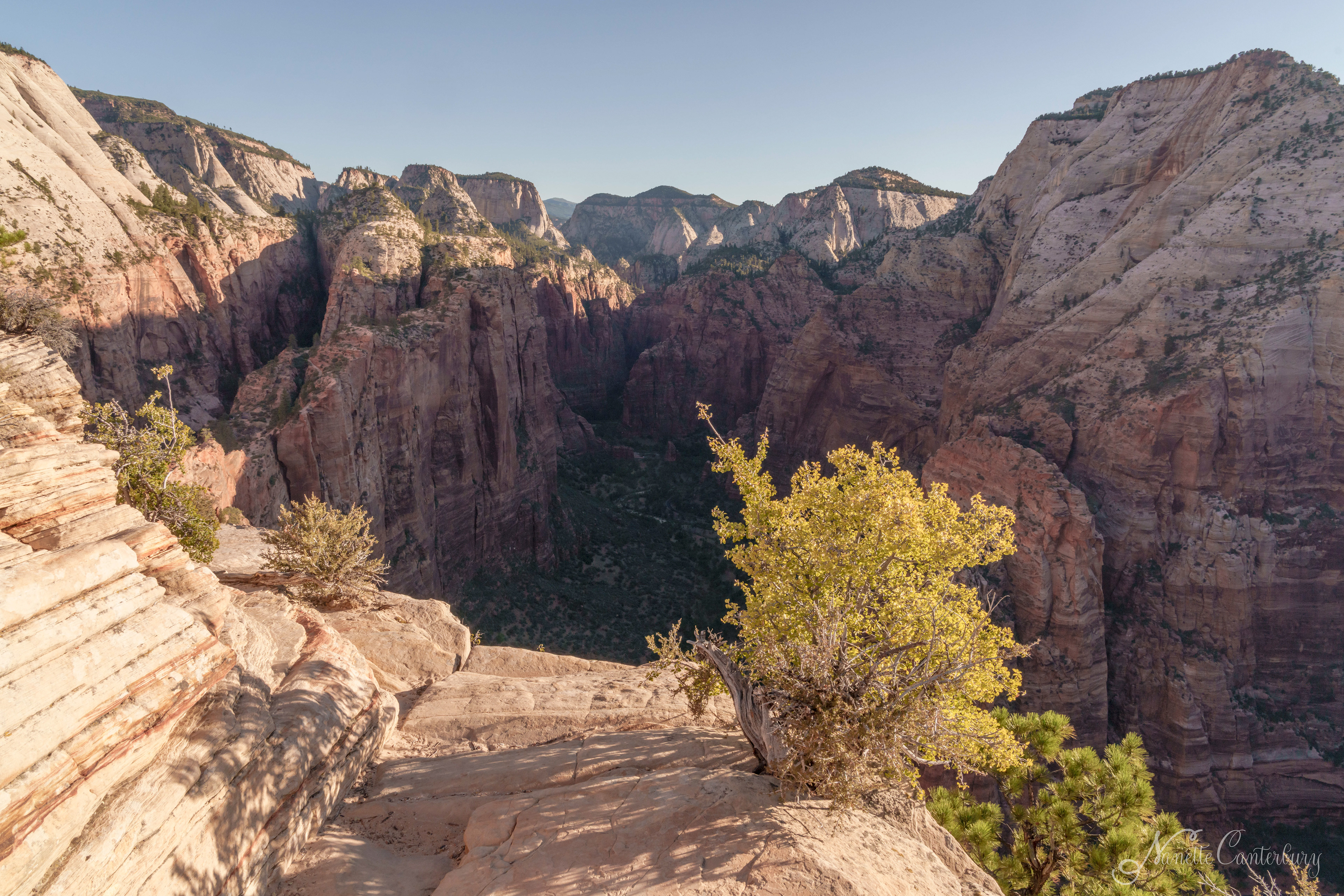 View from the Summit