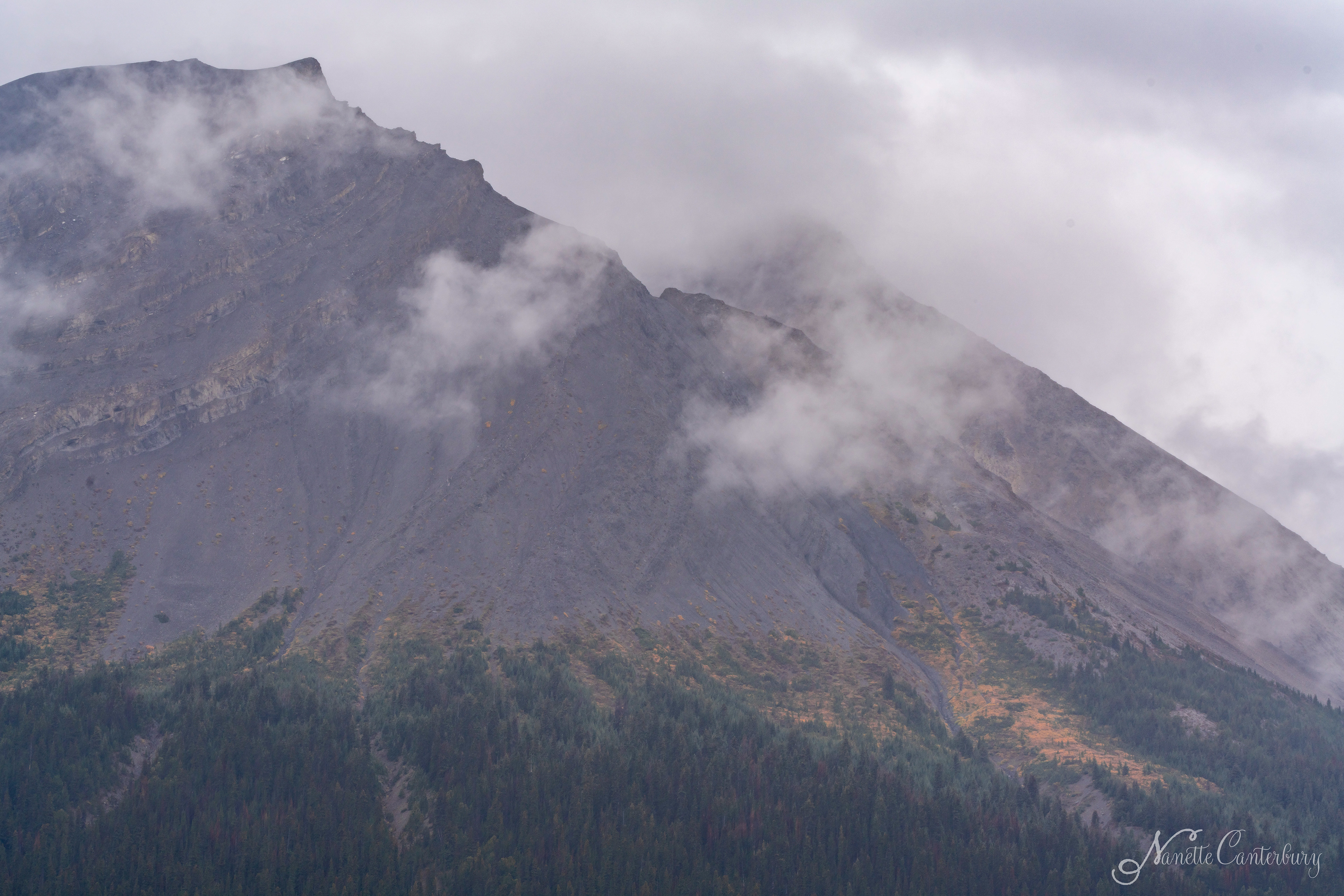 Along the Icefields Parkway