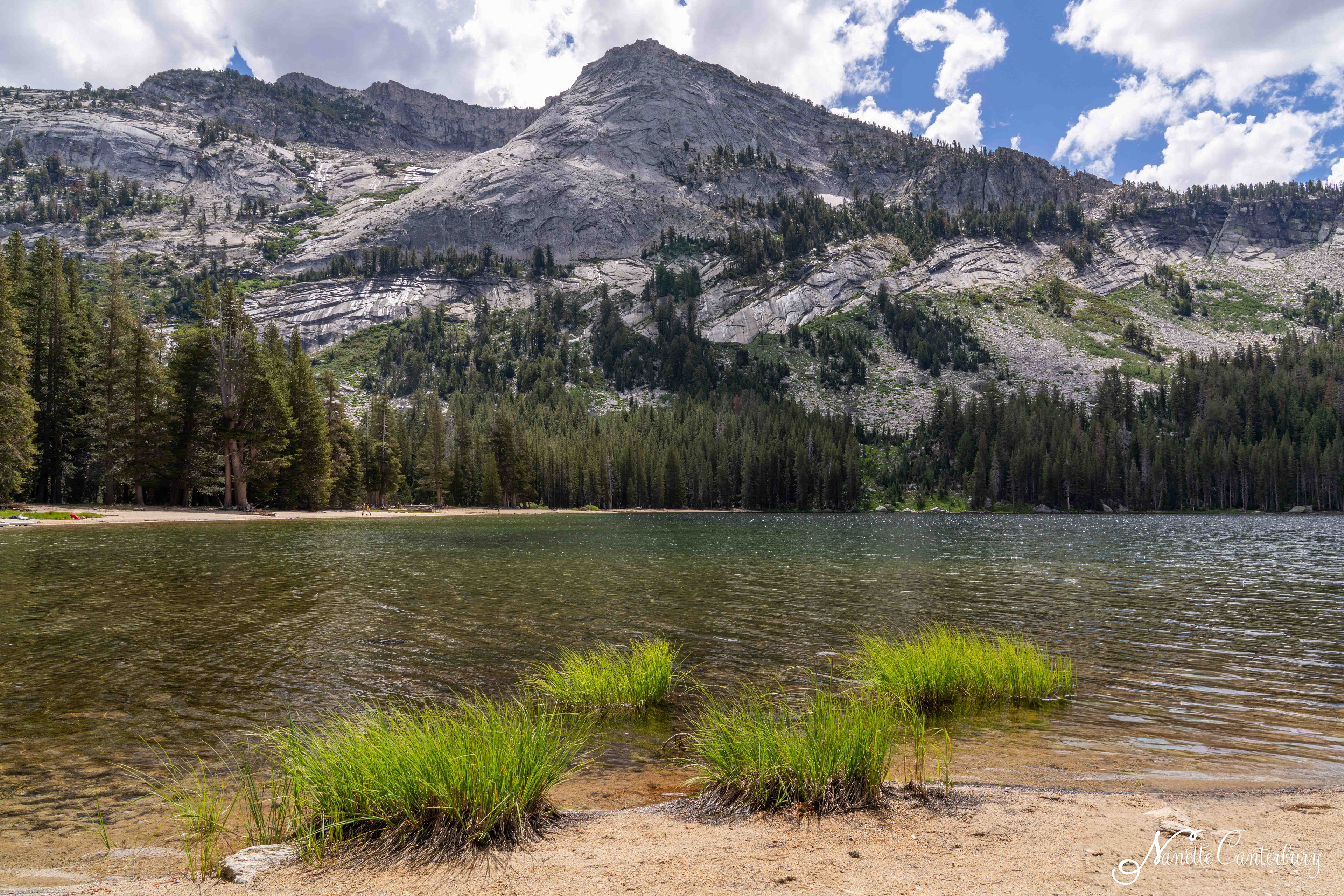 Tenaya Lake Loop
