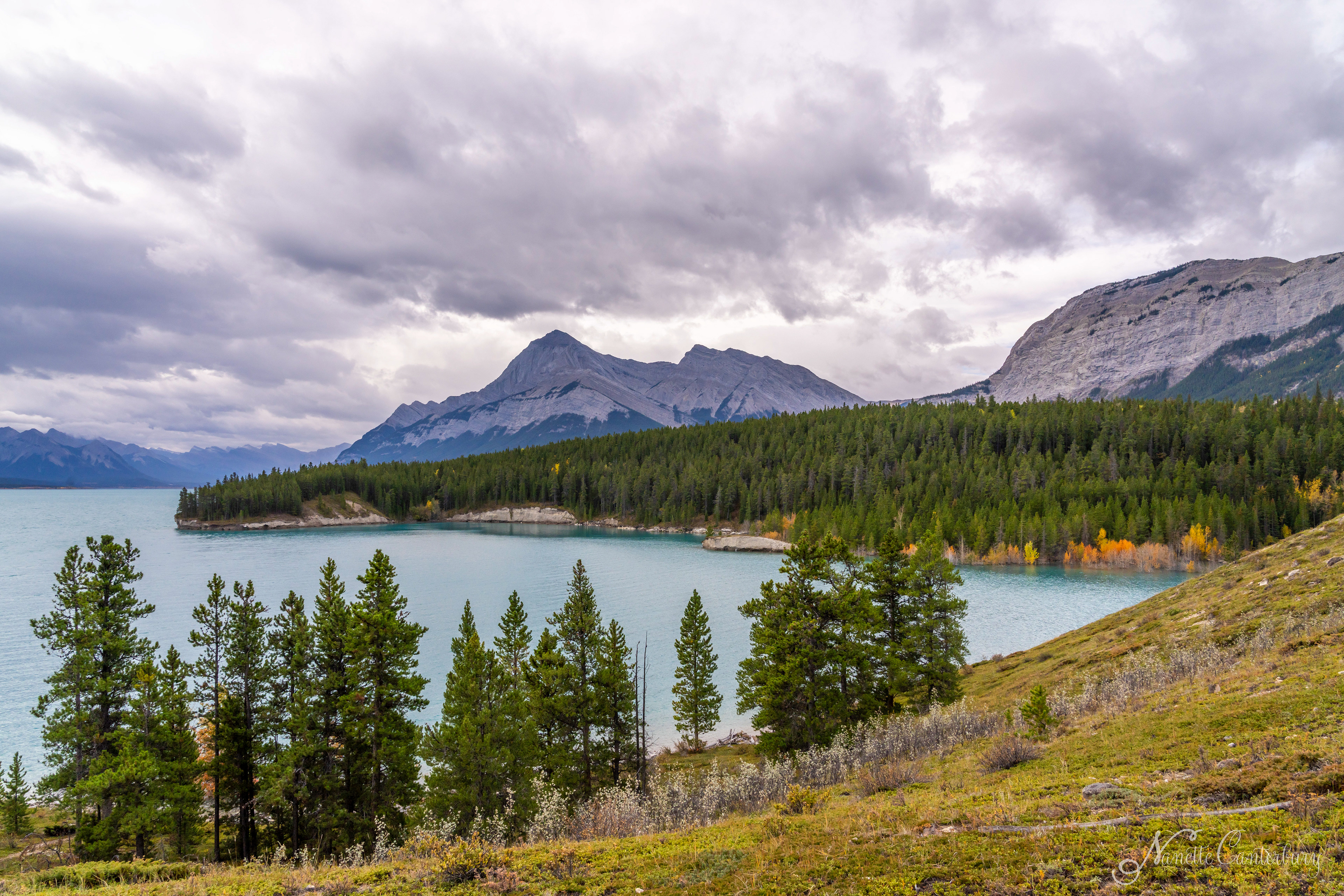 Abraham Lake
