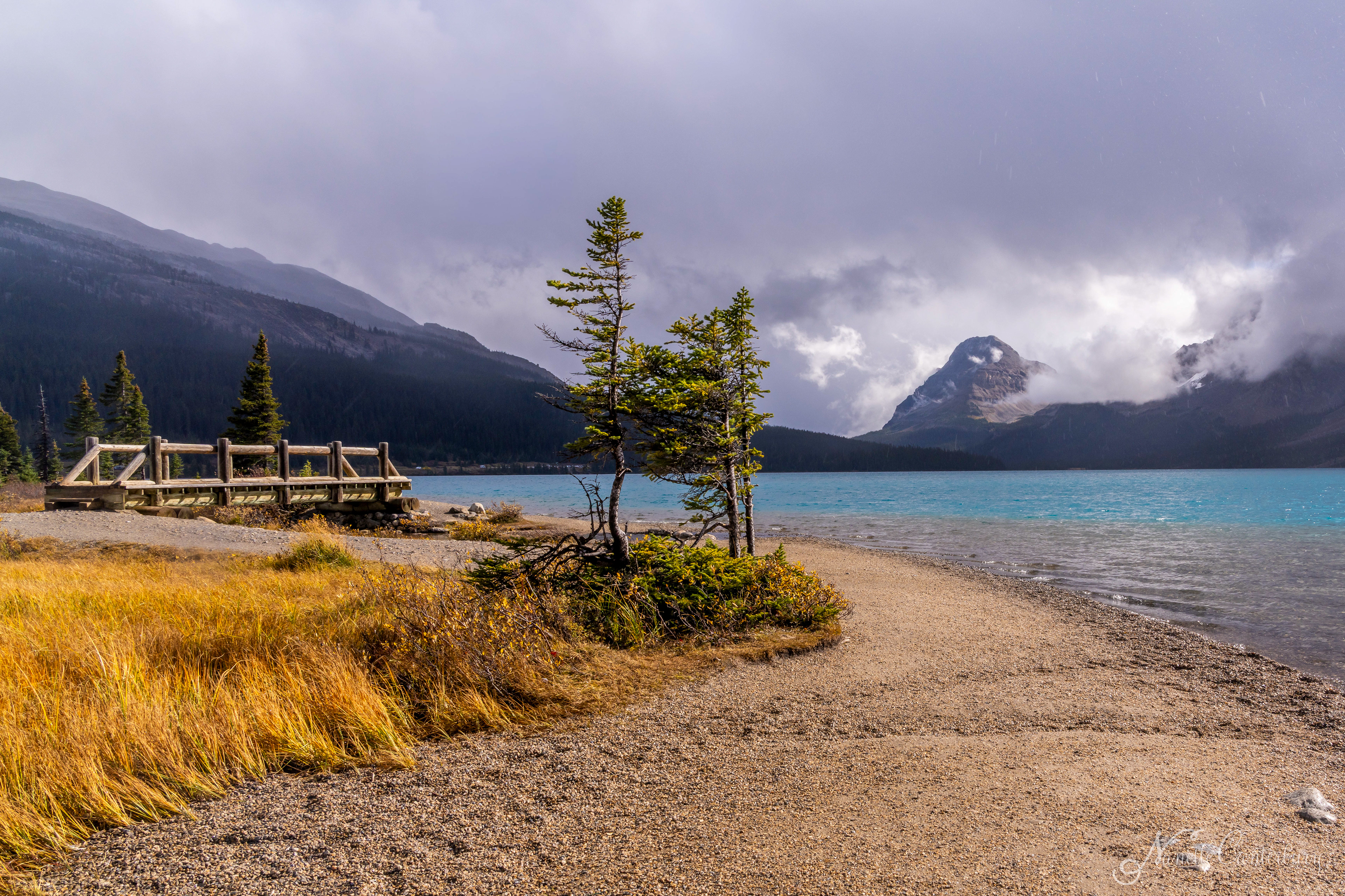 Bow Lake