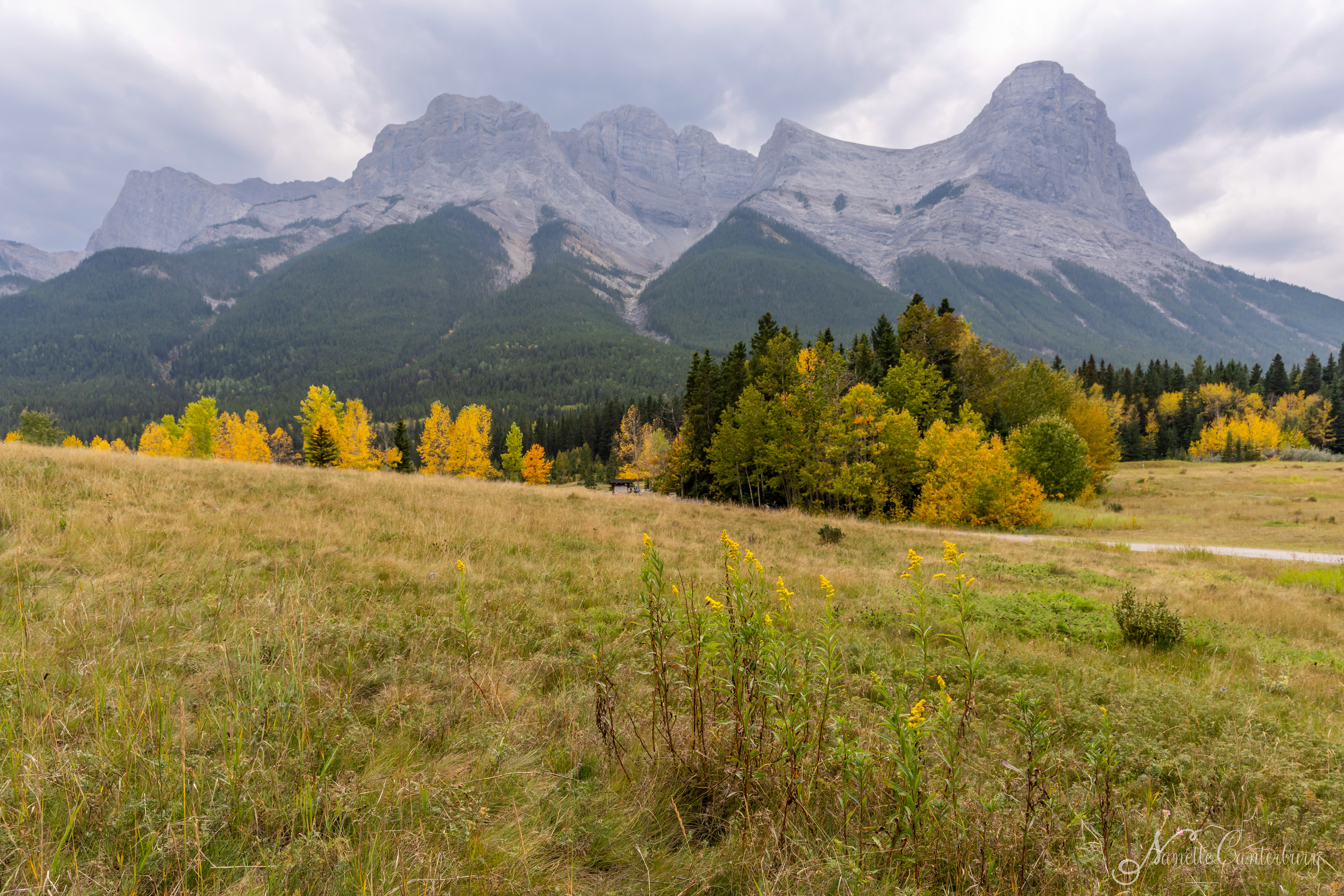 Canmore, near the Dog Park