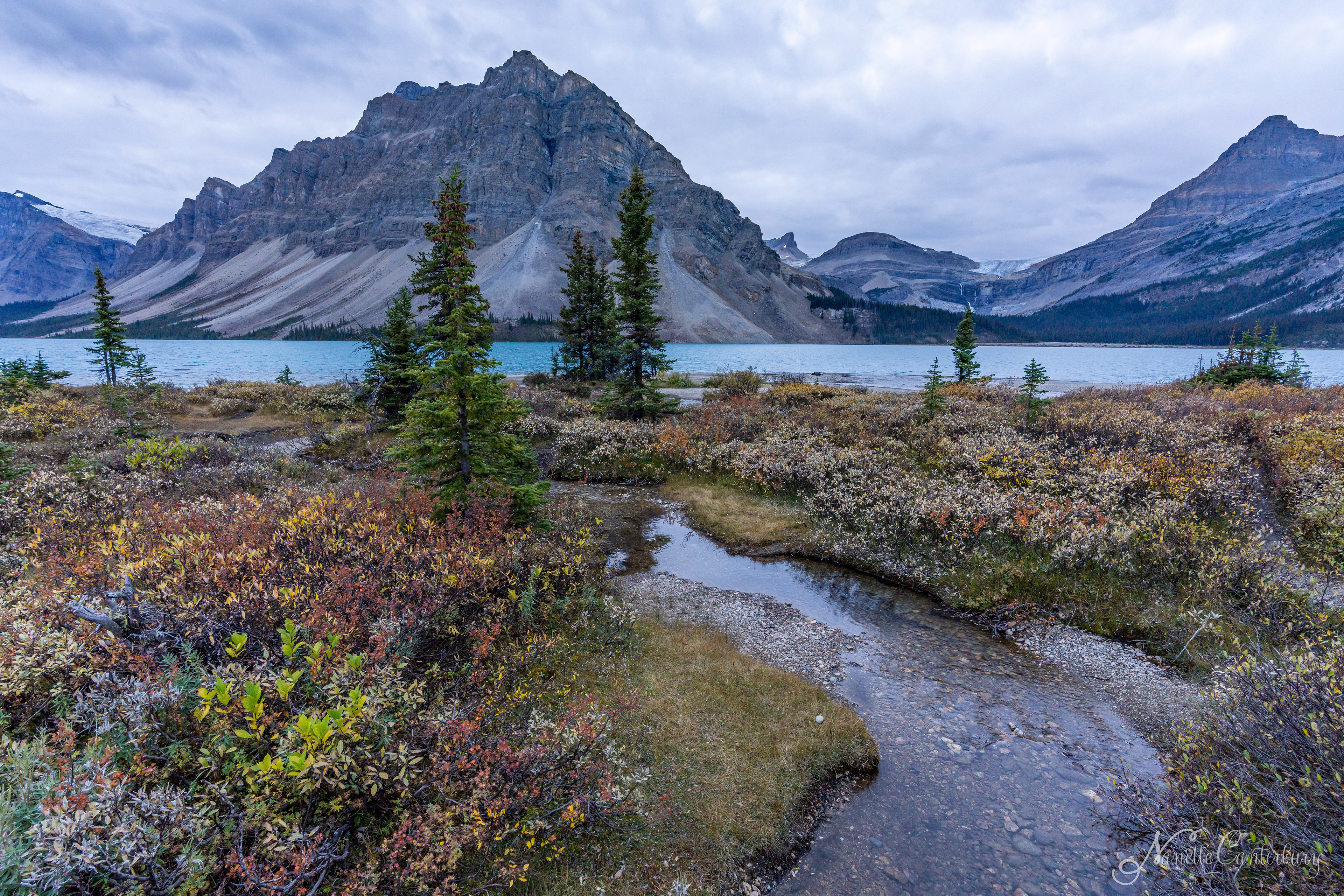 Bow Lake