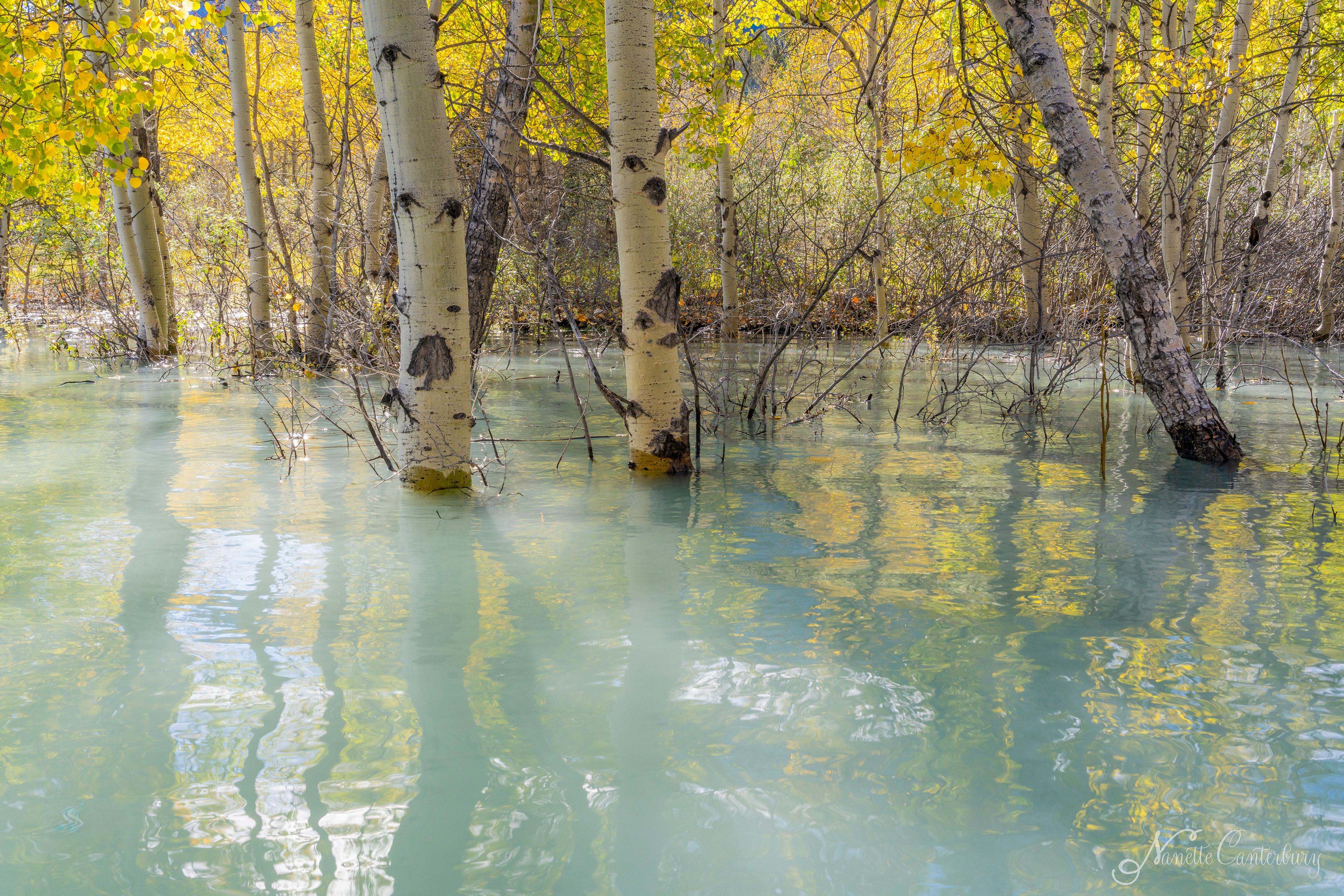 Abraham Lake