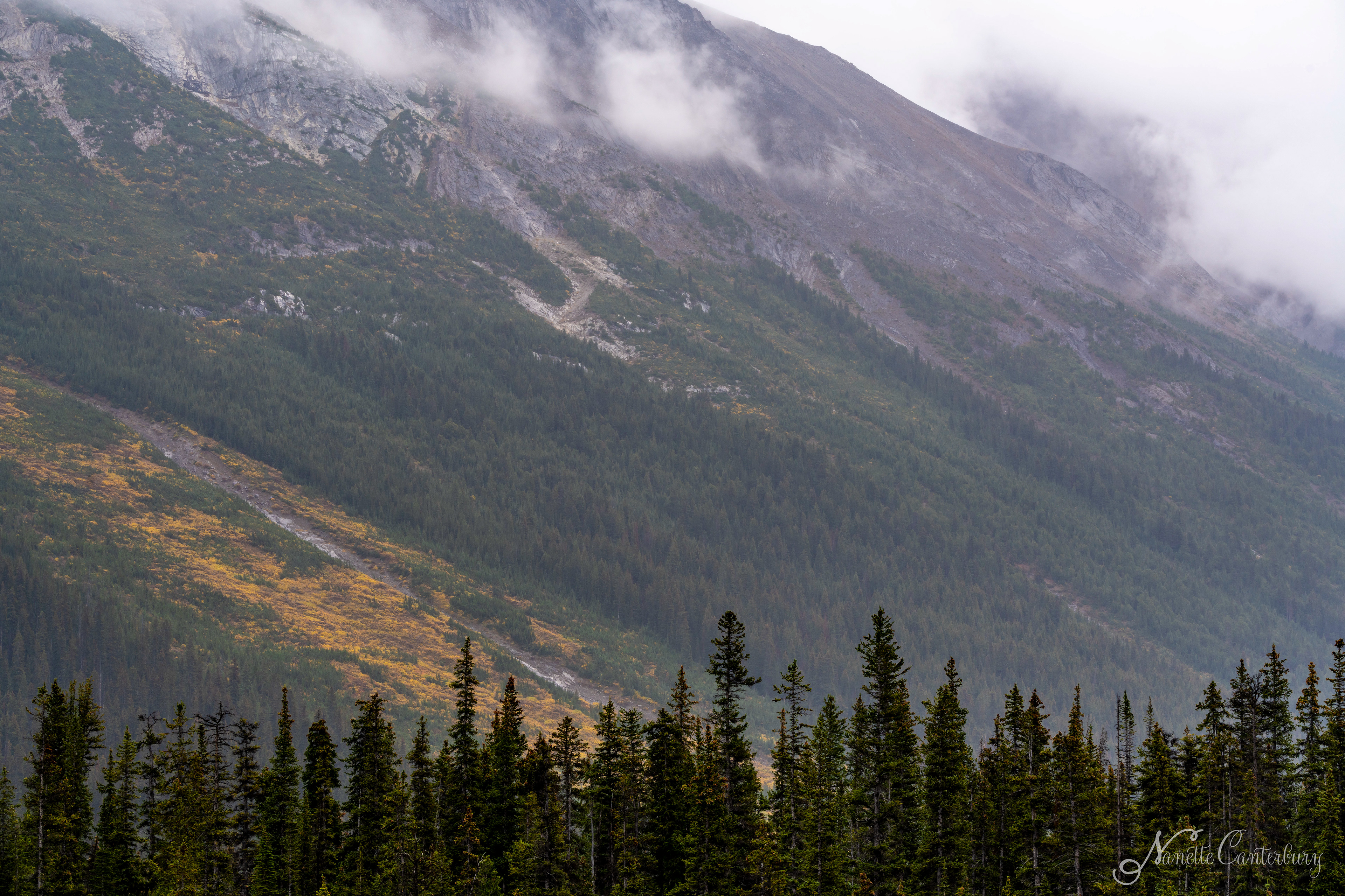 Along the Icefields Parkway