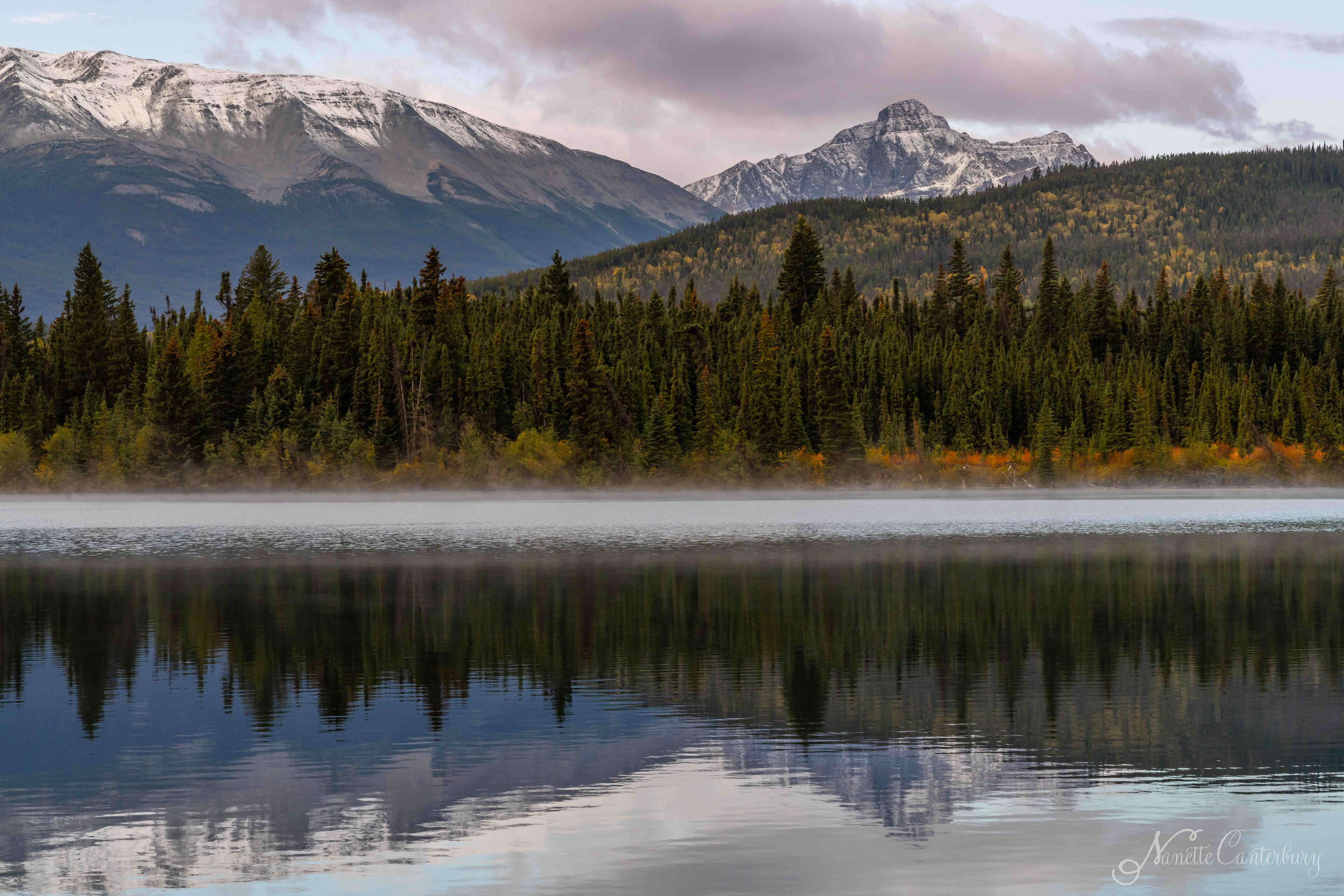 Patricia Lake