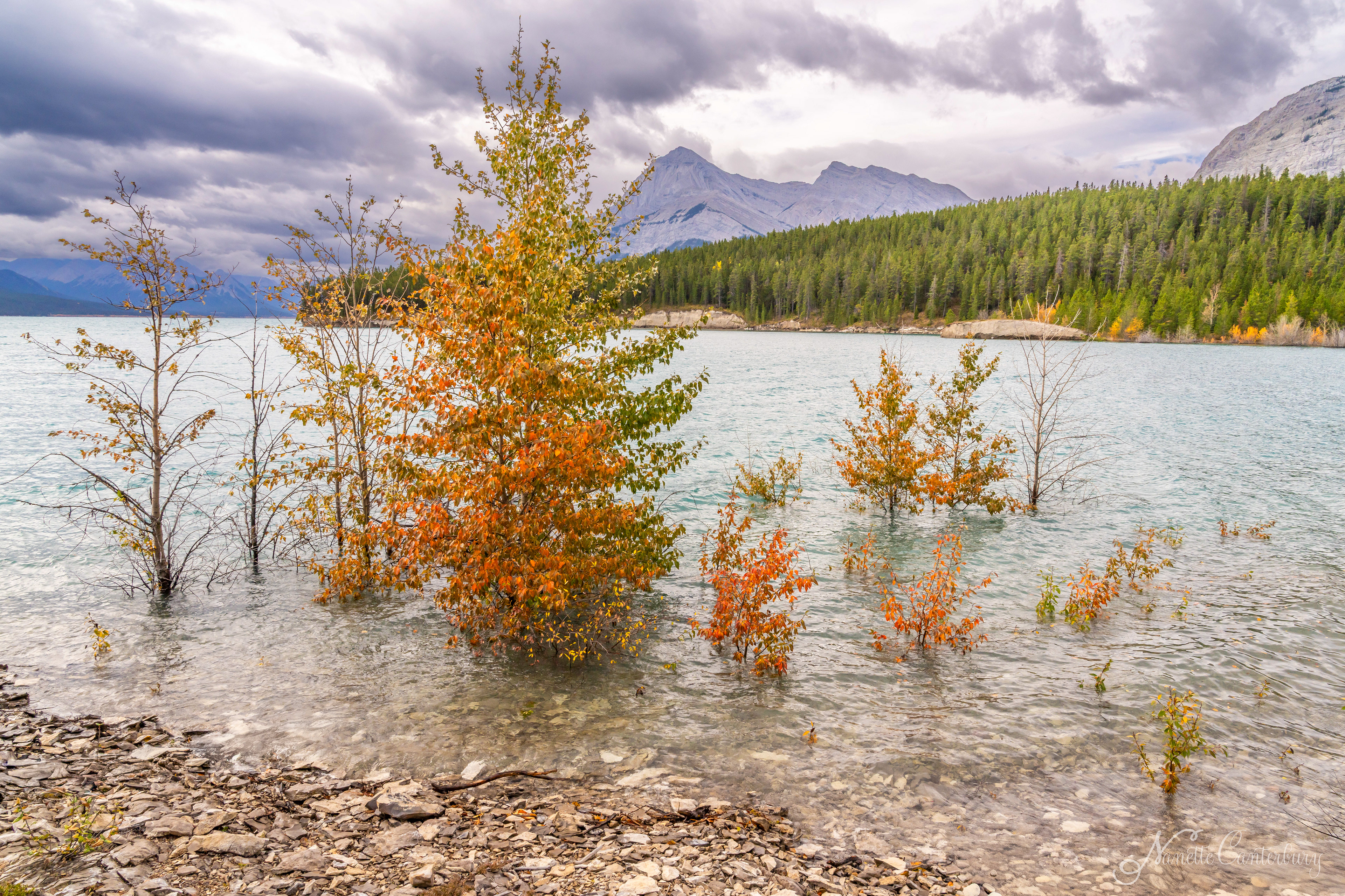Abraham Lake