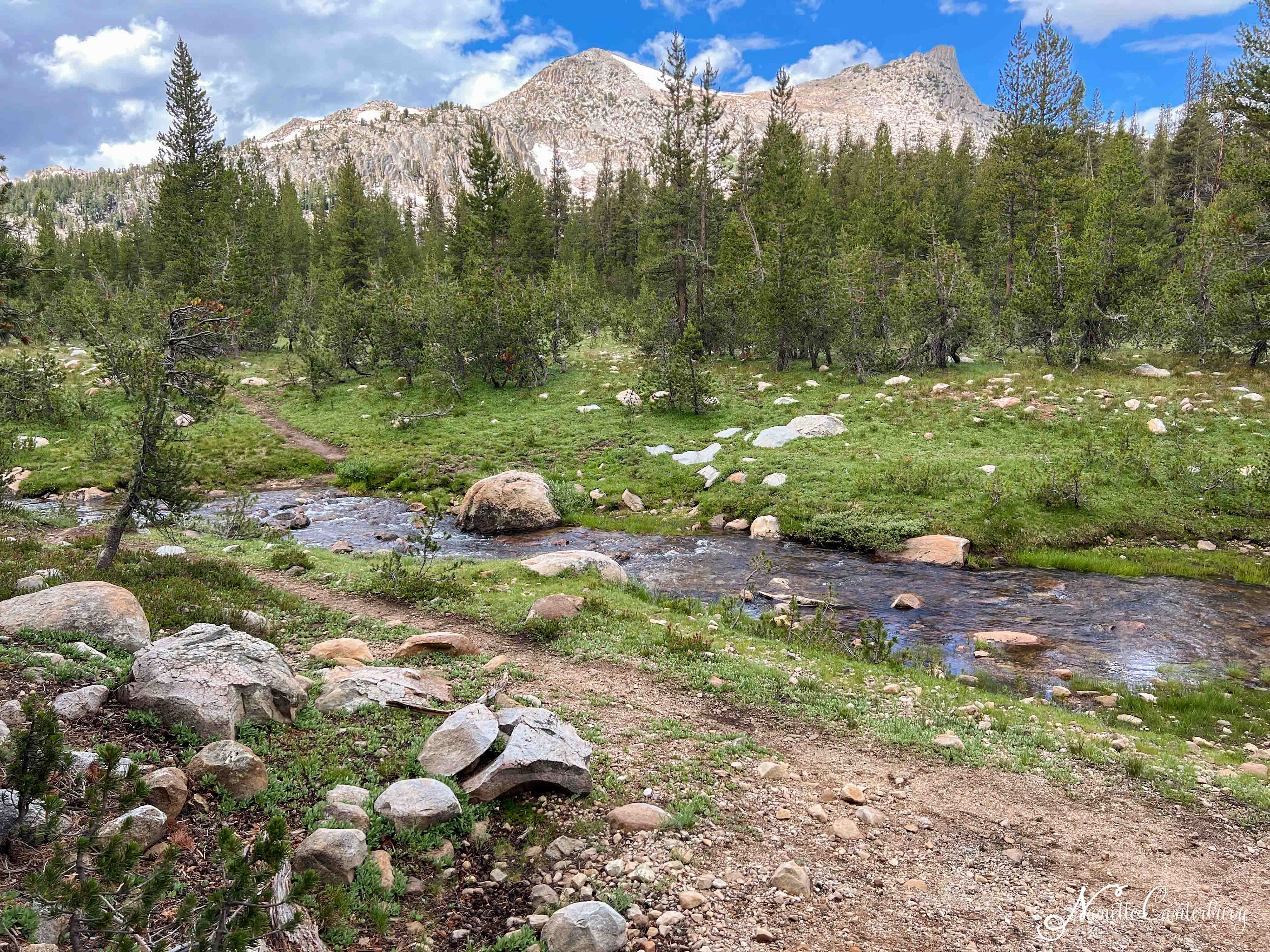 Elizabeth Lake Trail