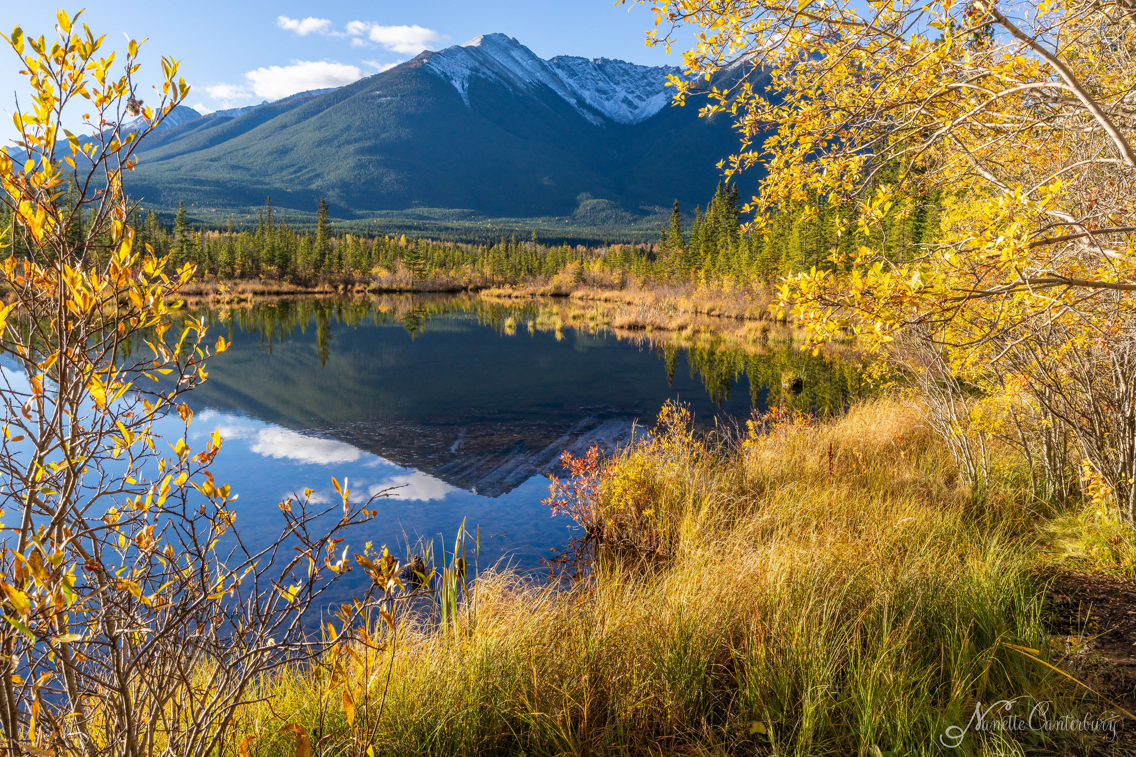 Vermillion Lakes