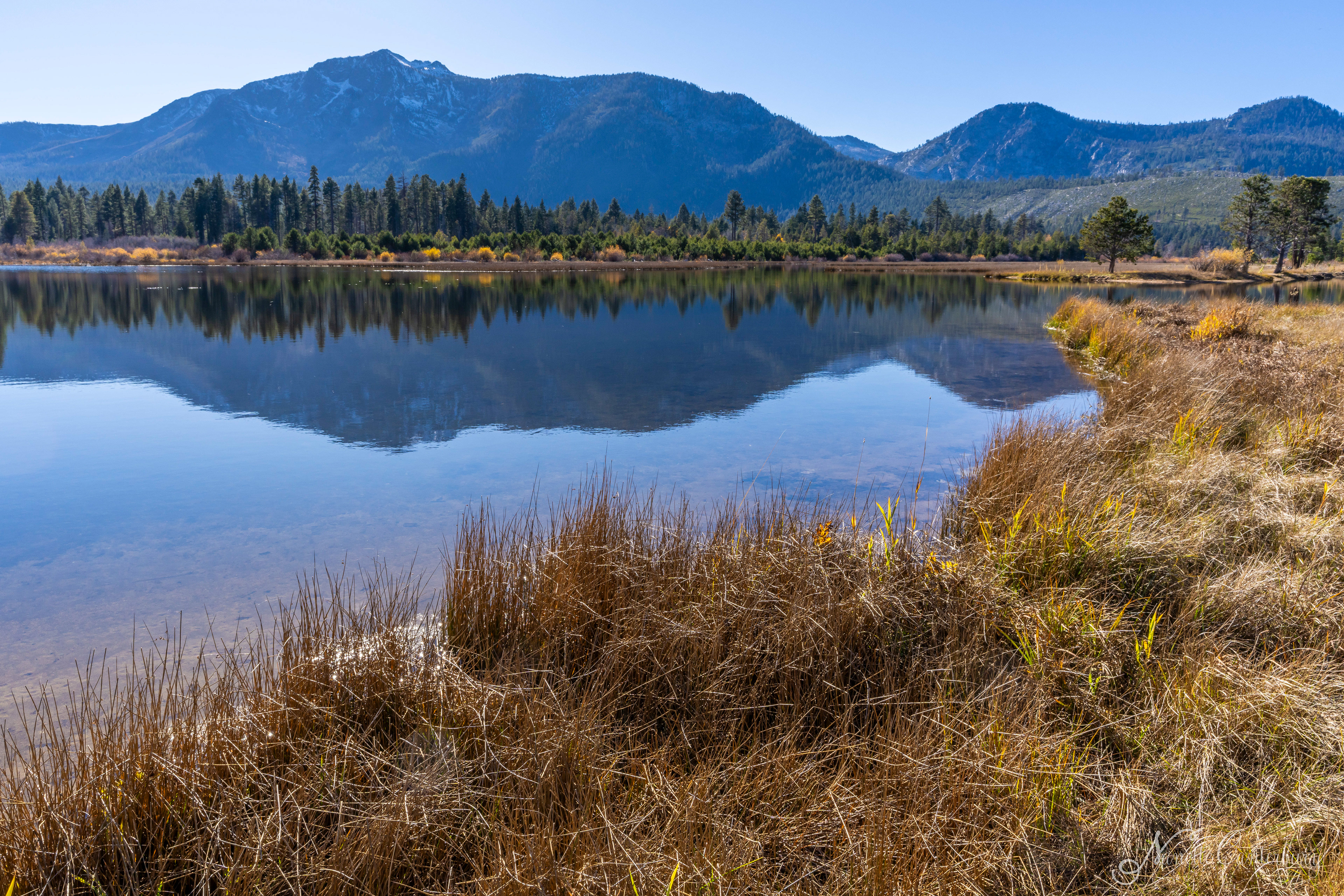Taylor Creek Marsh