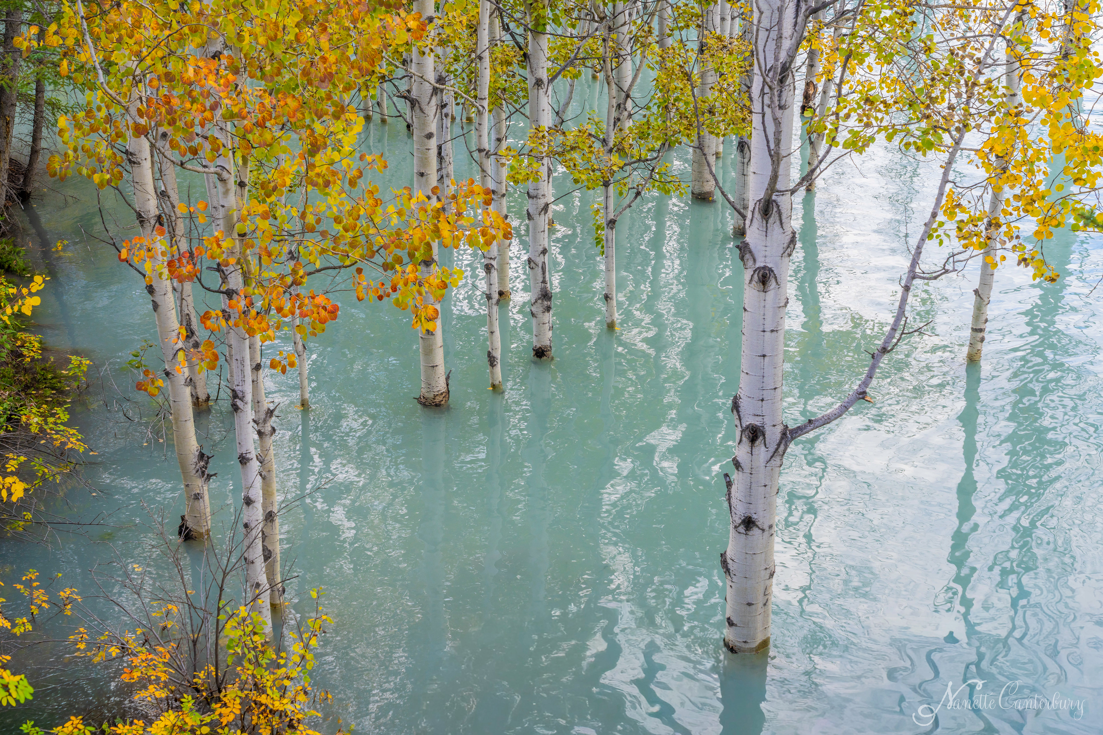Abraham Lake