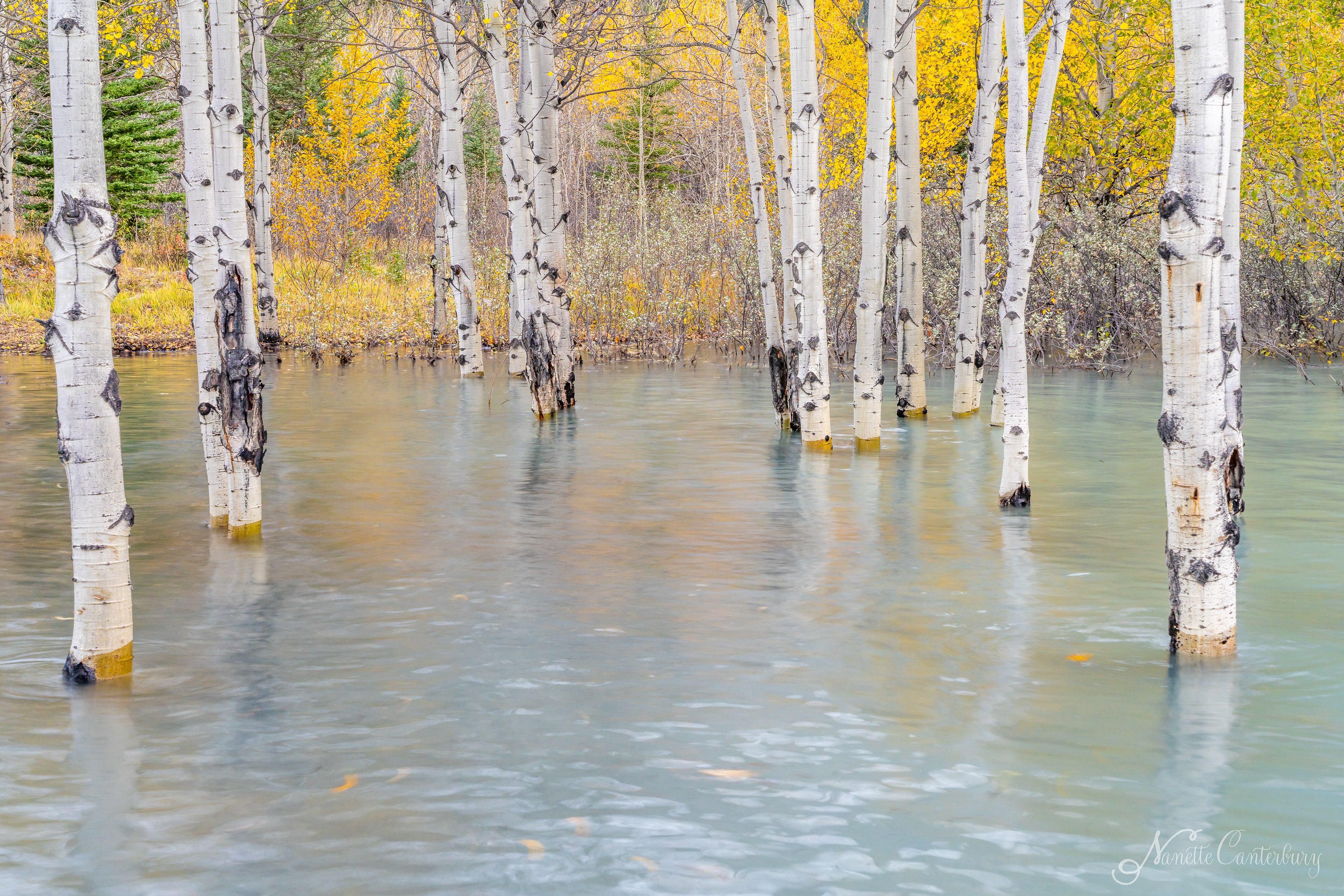 Abraham Lake