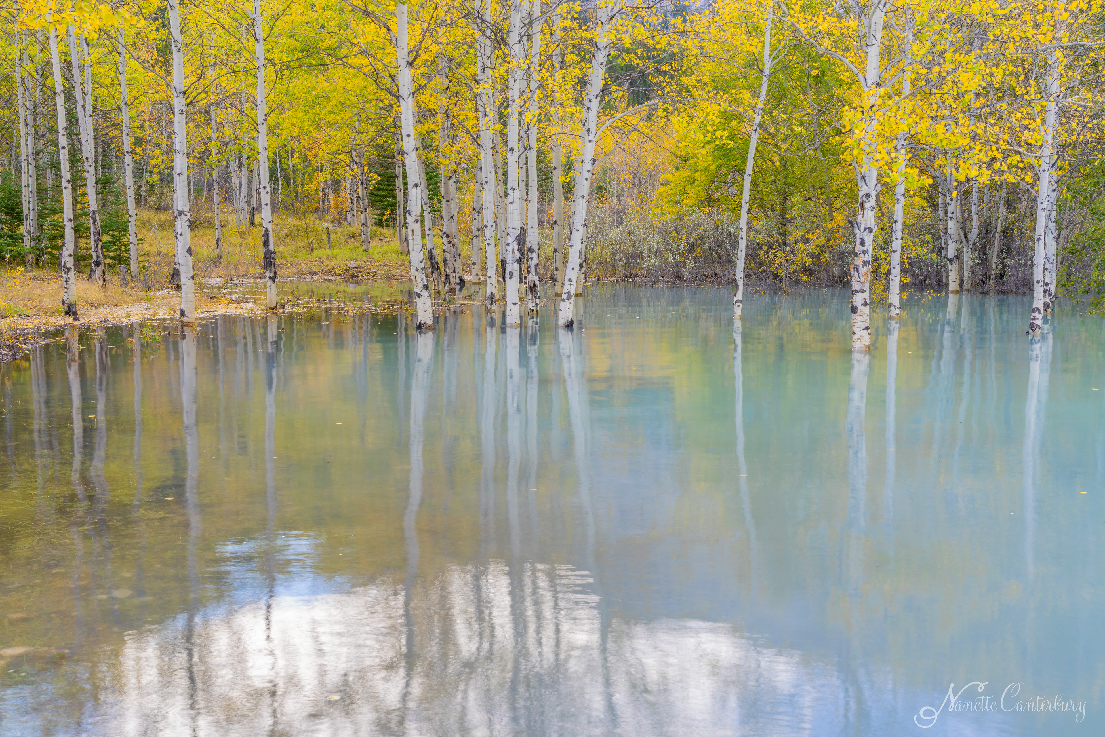 Abraham Lake