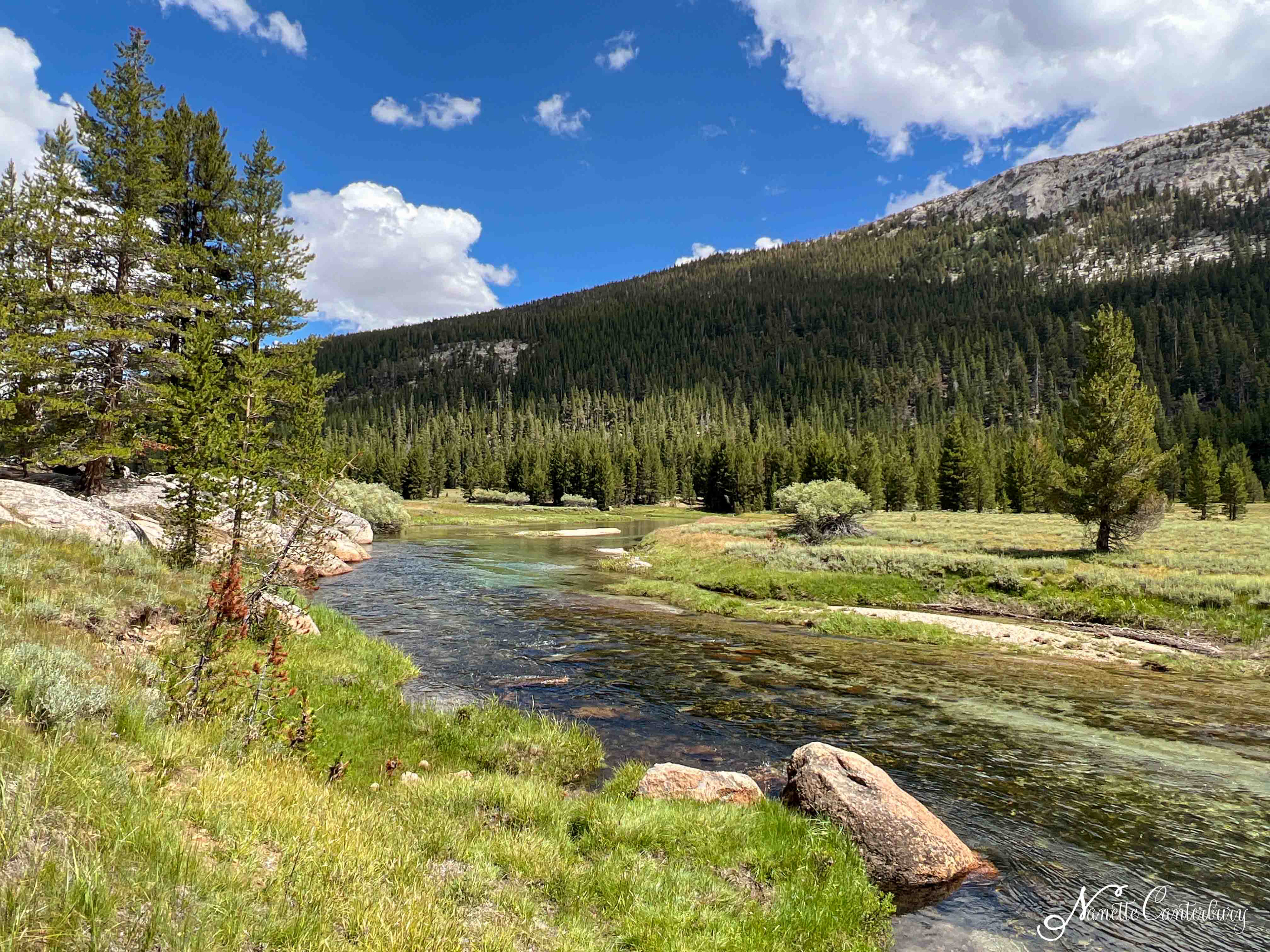 Tuolumne Meadows