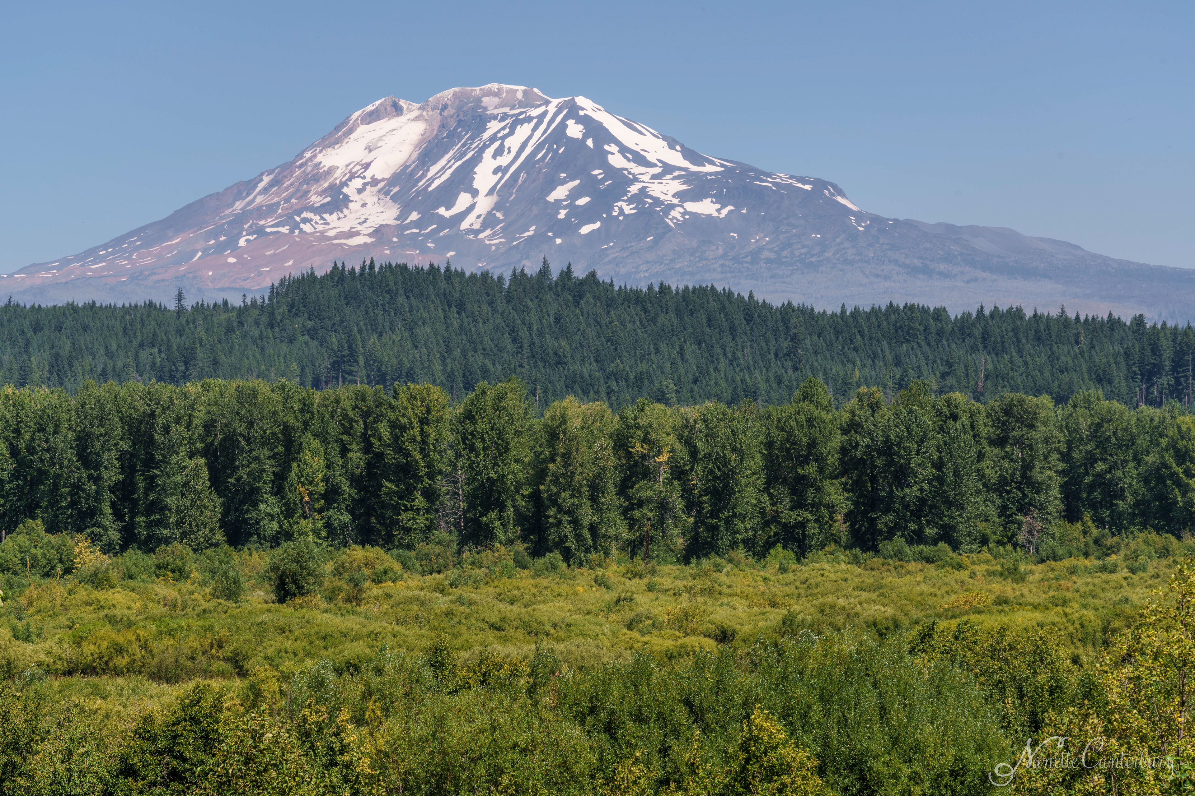 Mt Adams