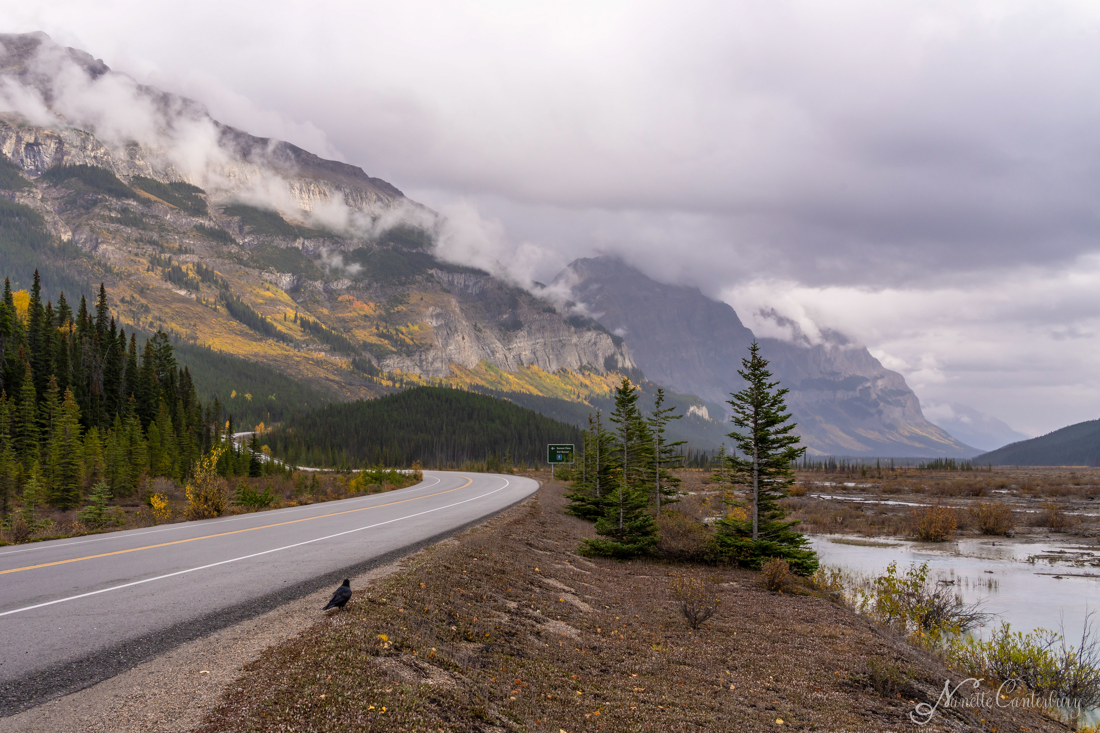 Along the Icefields Parkway