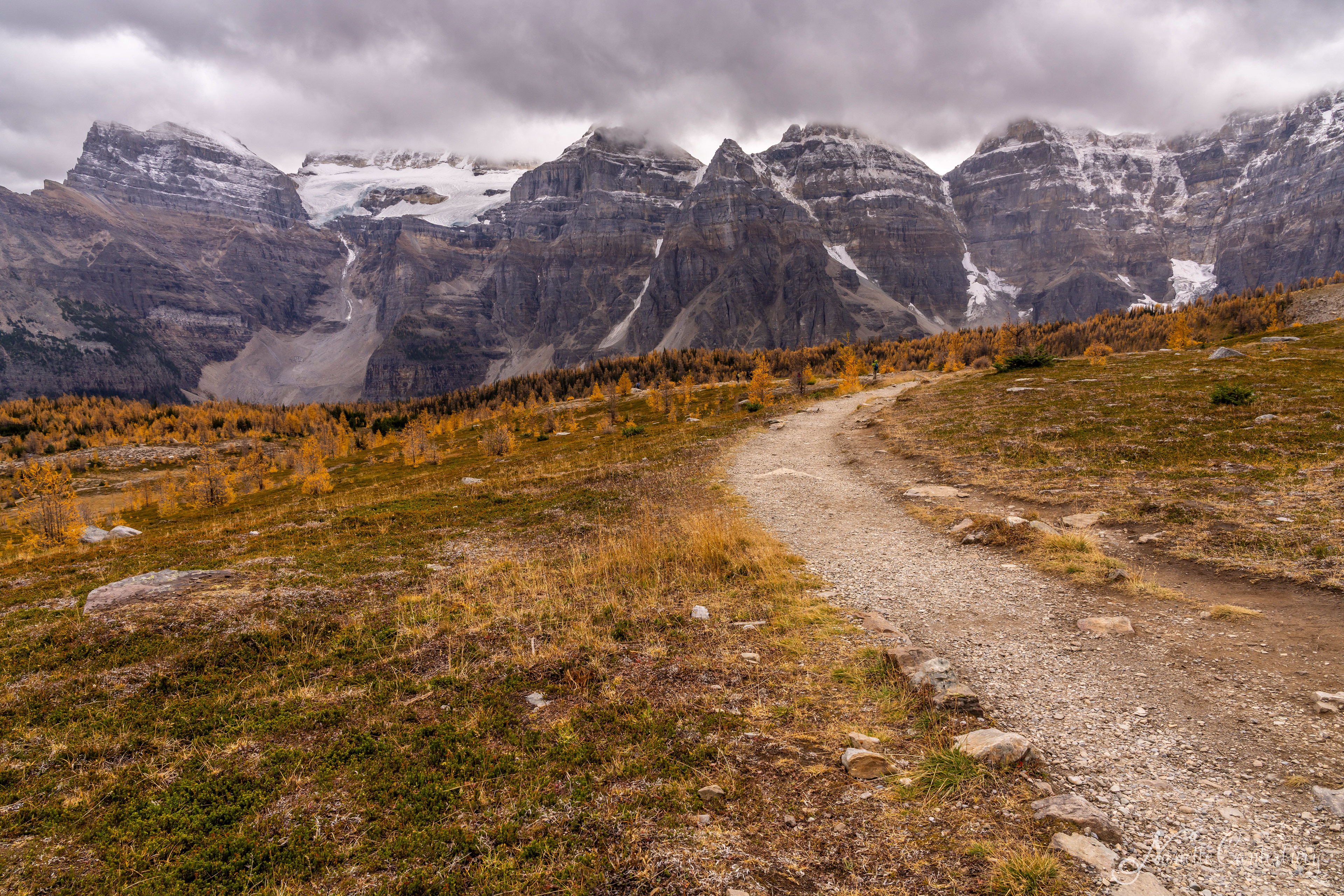 Larch Valley Trail