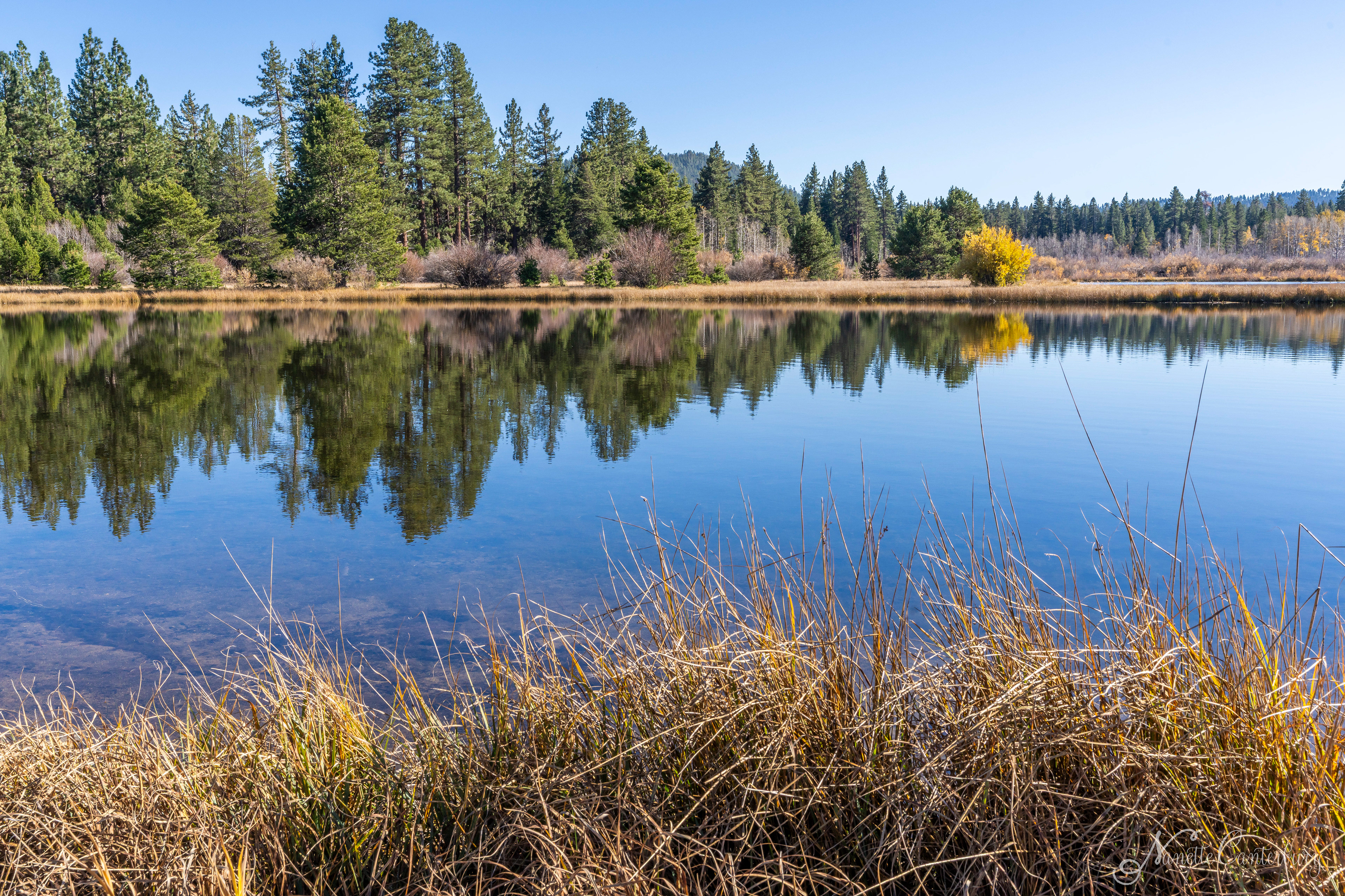 Taylor Creek Marsh