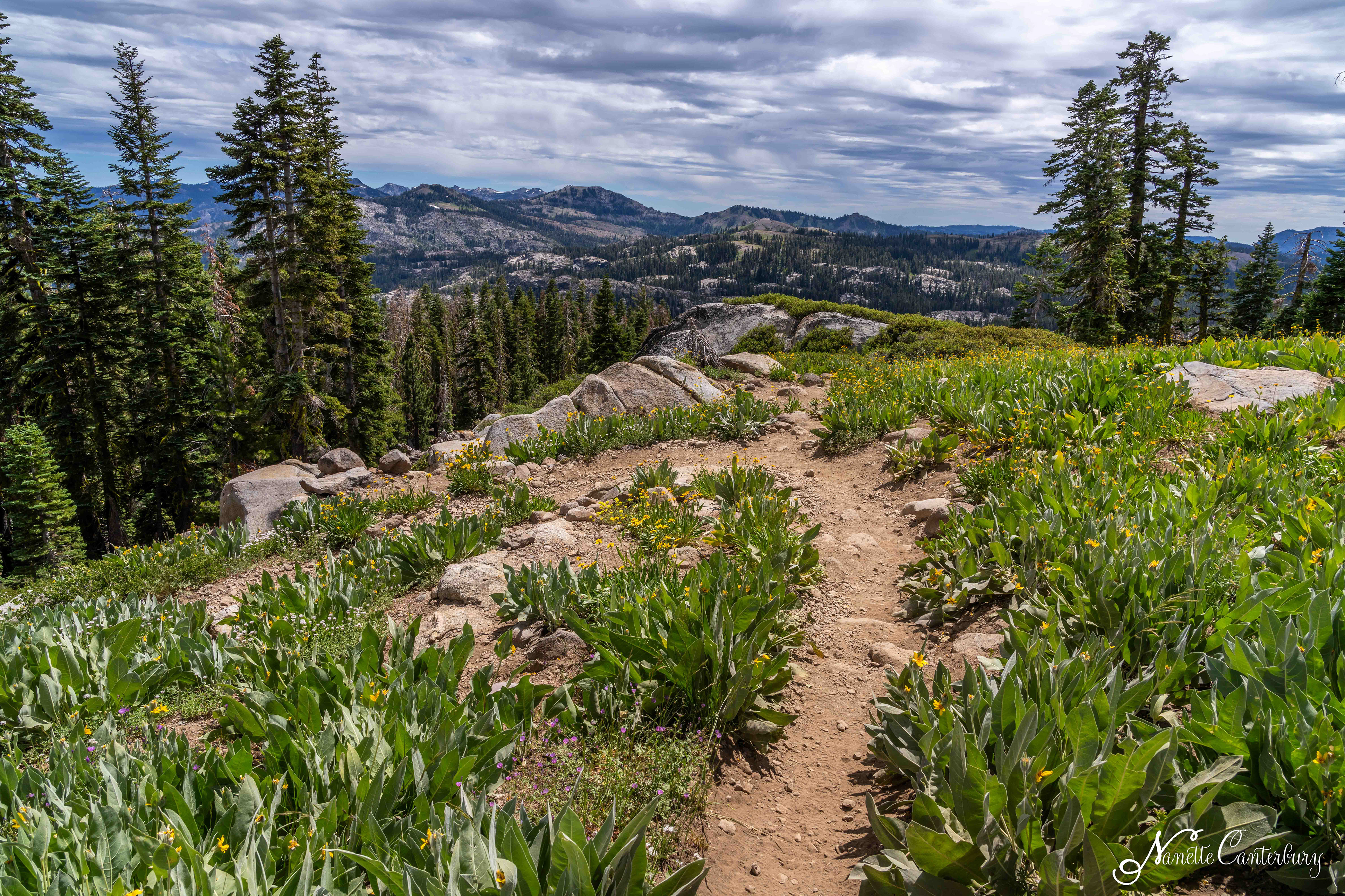 Warren Lake Trail to Frog Lake