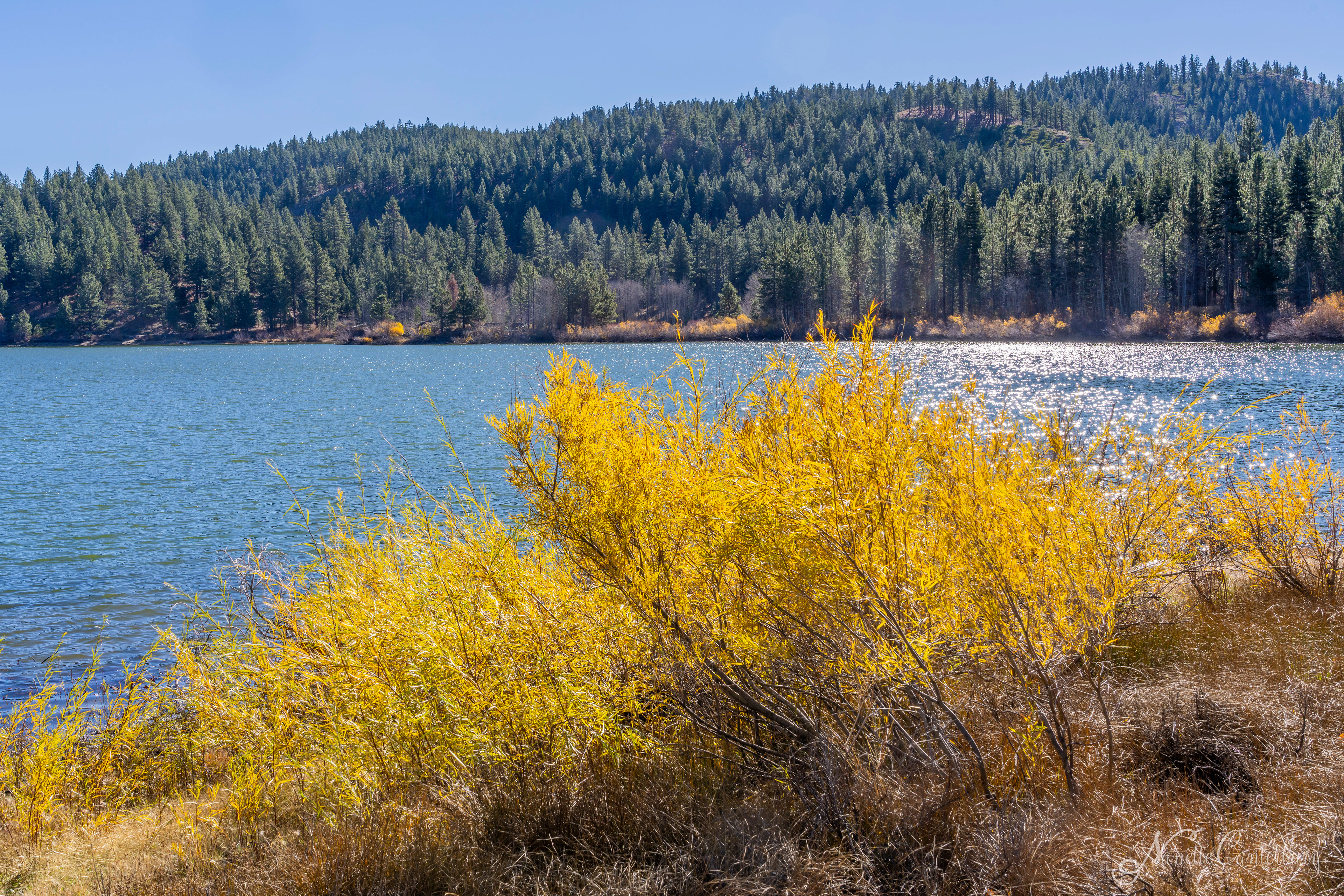 Spooner Lake