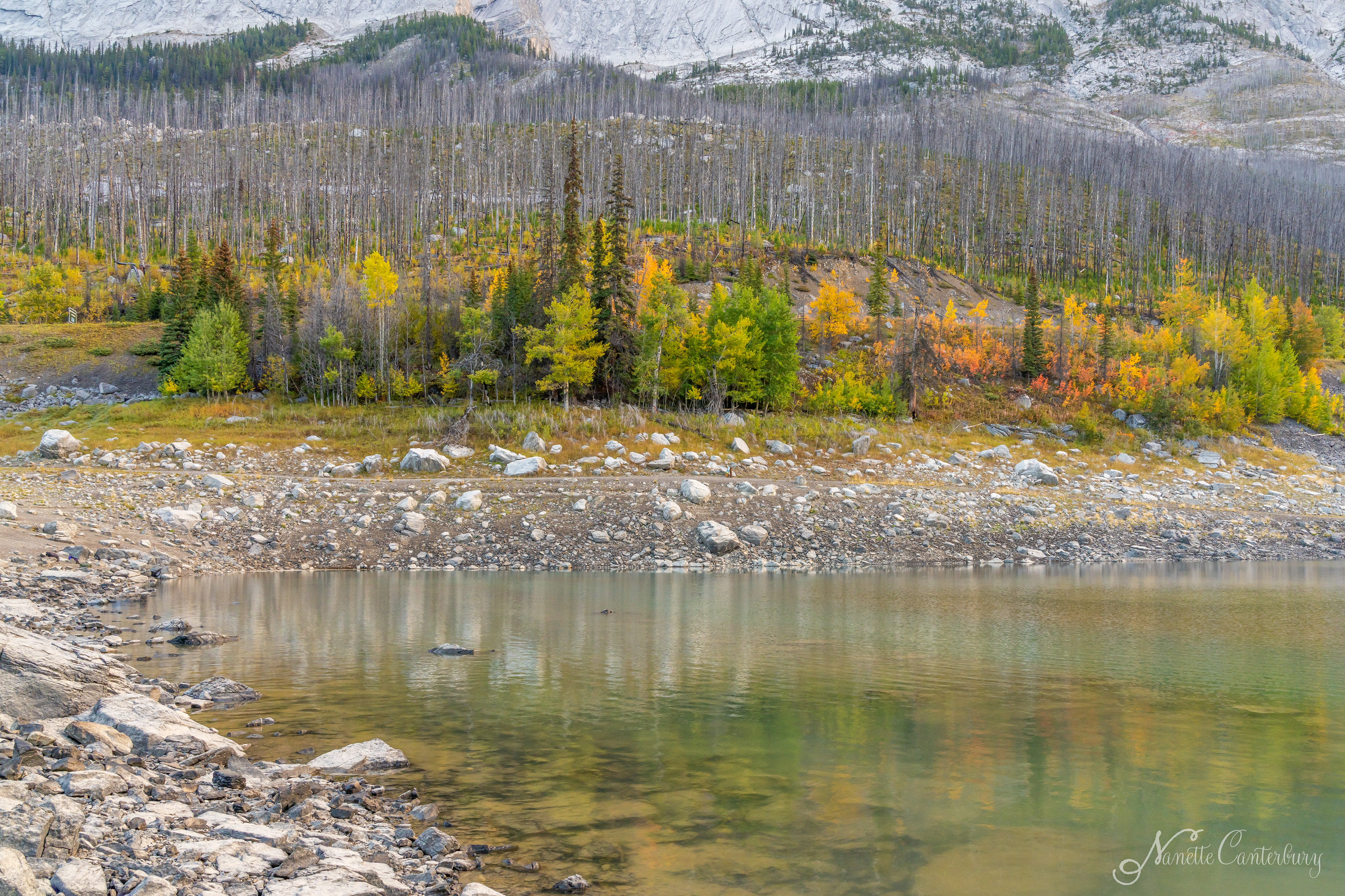 Medecine Lake