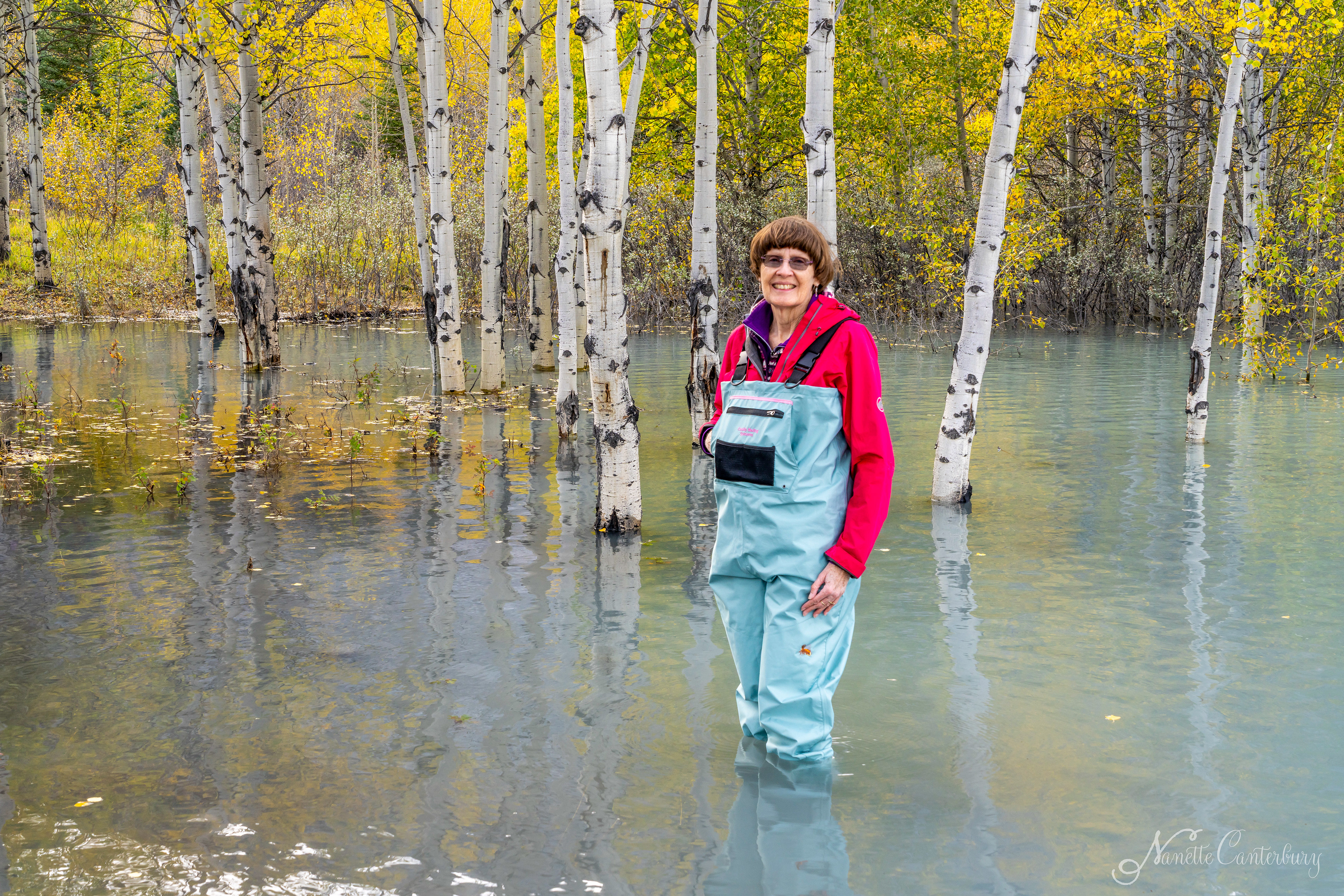 Abraham Lake