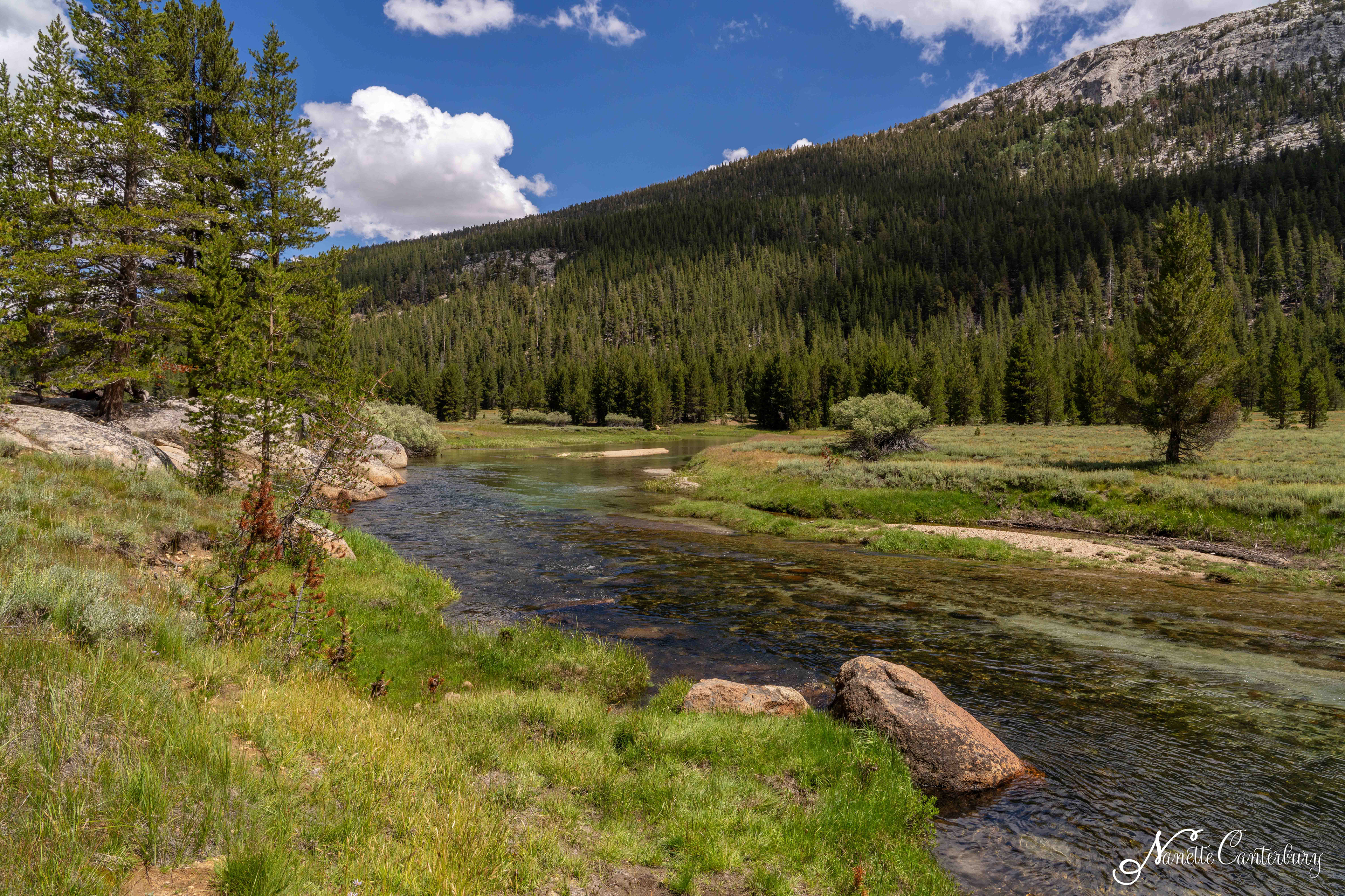 Tuolumne Meadows