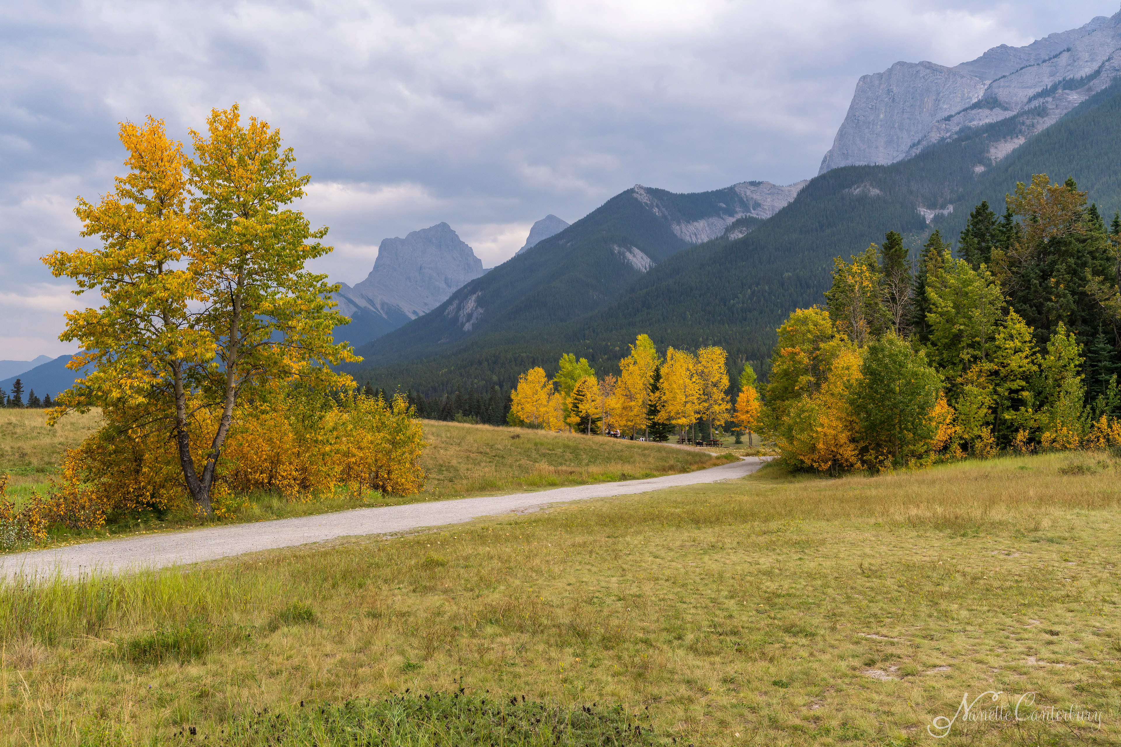 Canmore, near the Dog Park