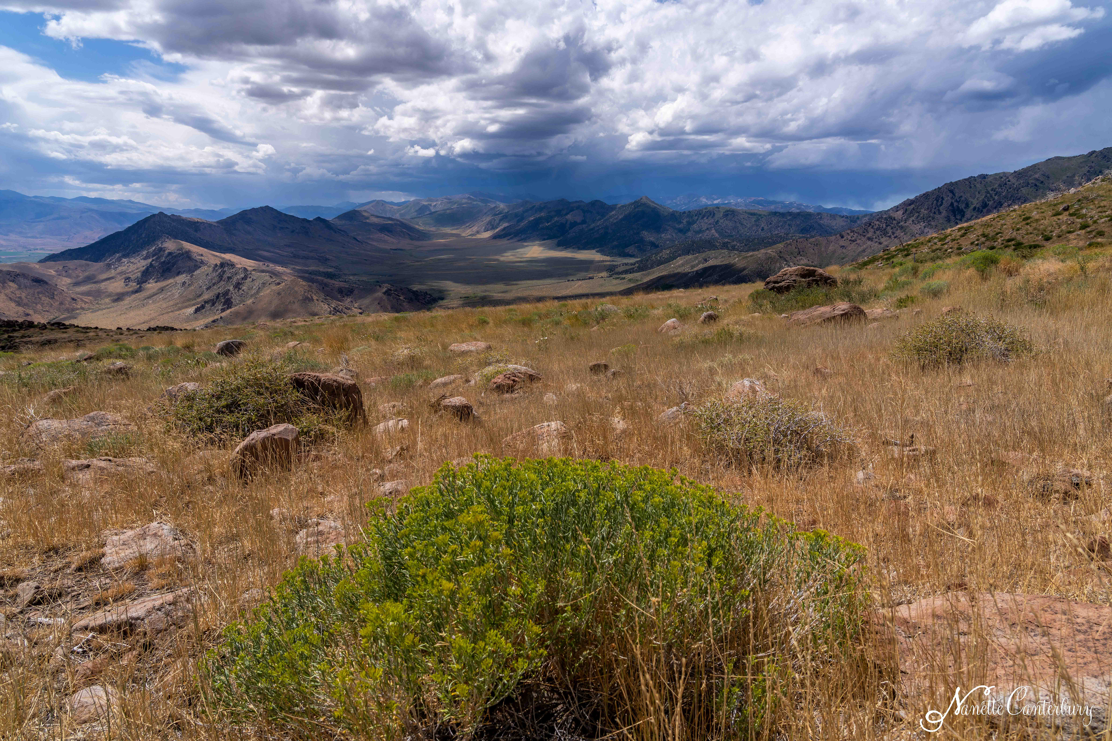Monitor Pass overlooking Slinkard Valley