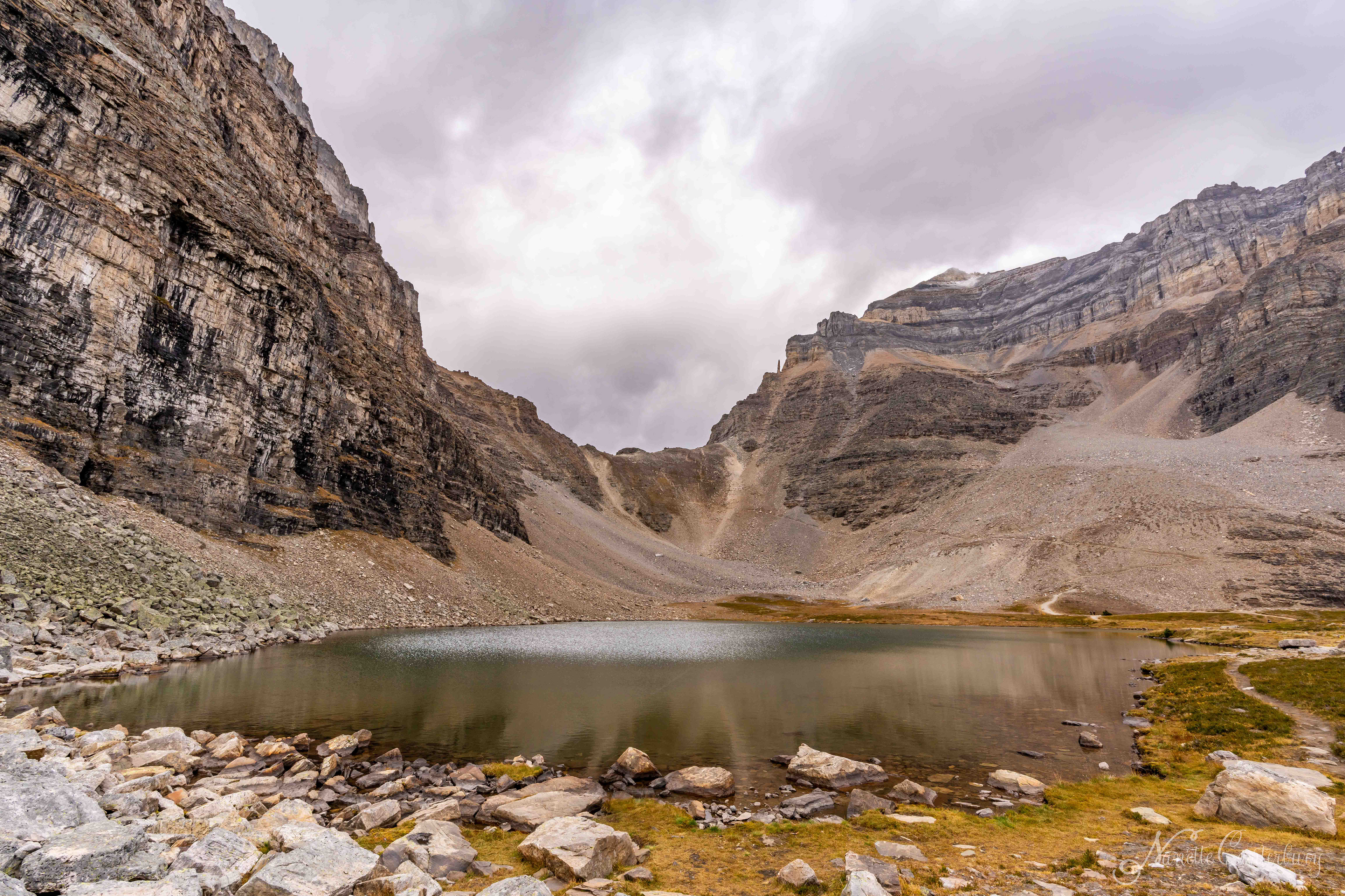 Larch Valley Trail
