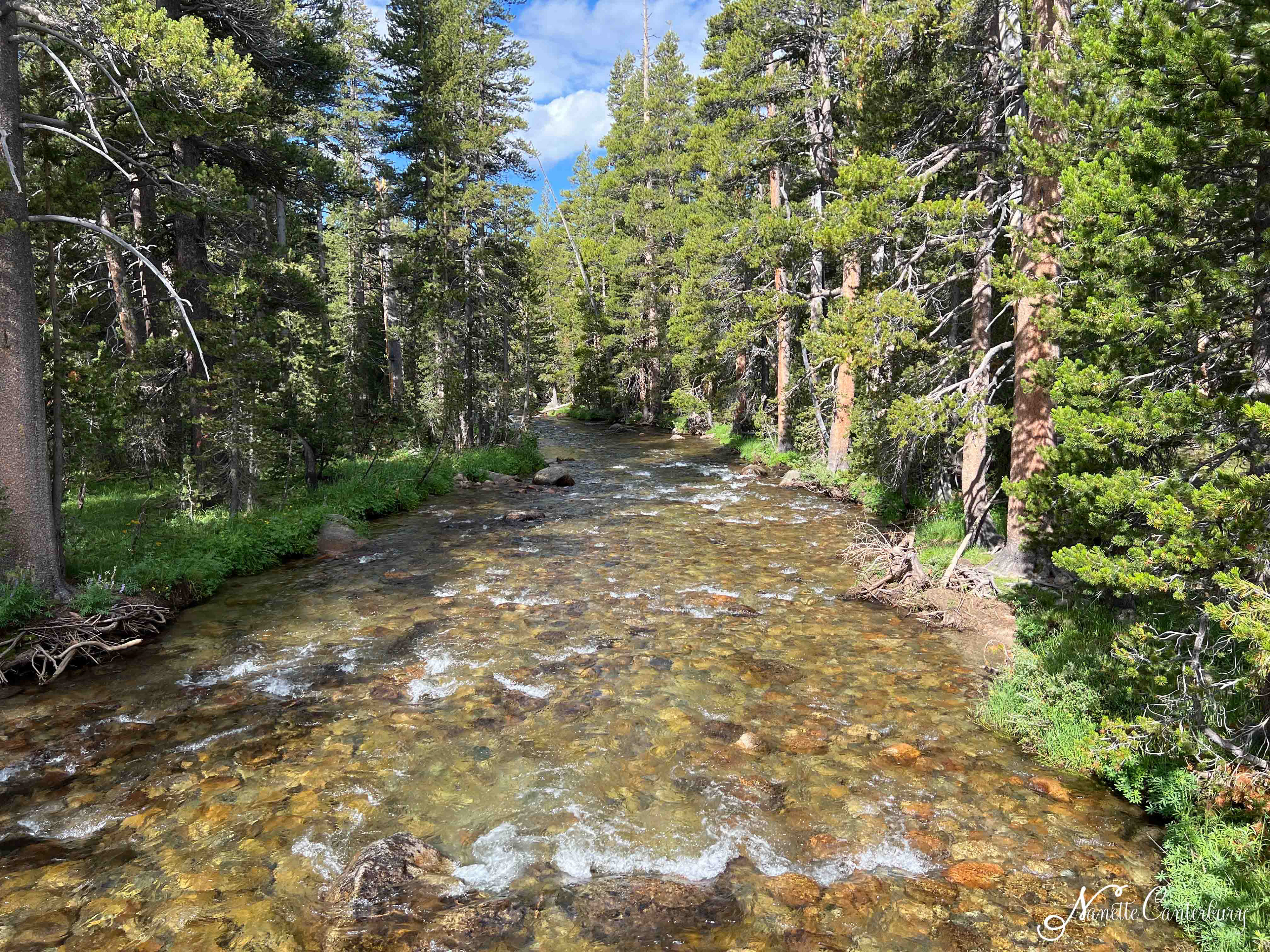 Tuolumne Meadows