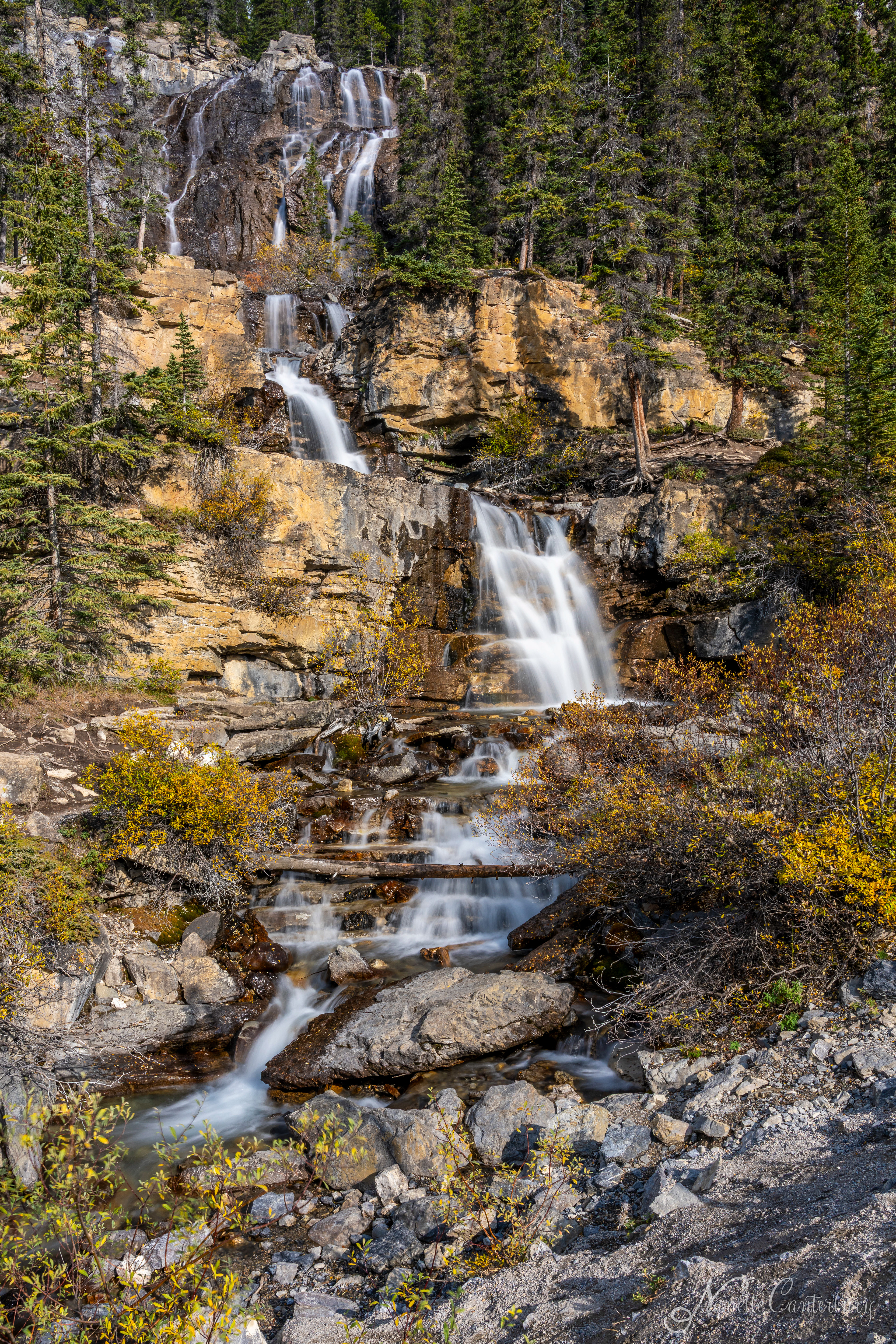 Tangle Falls