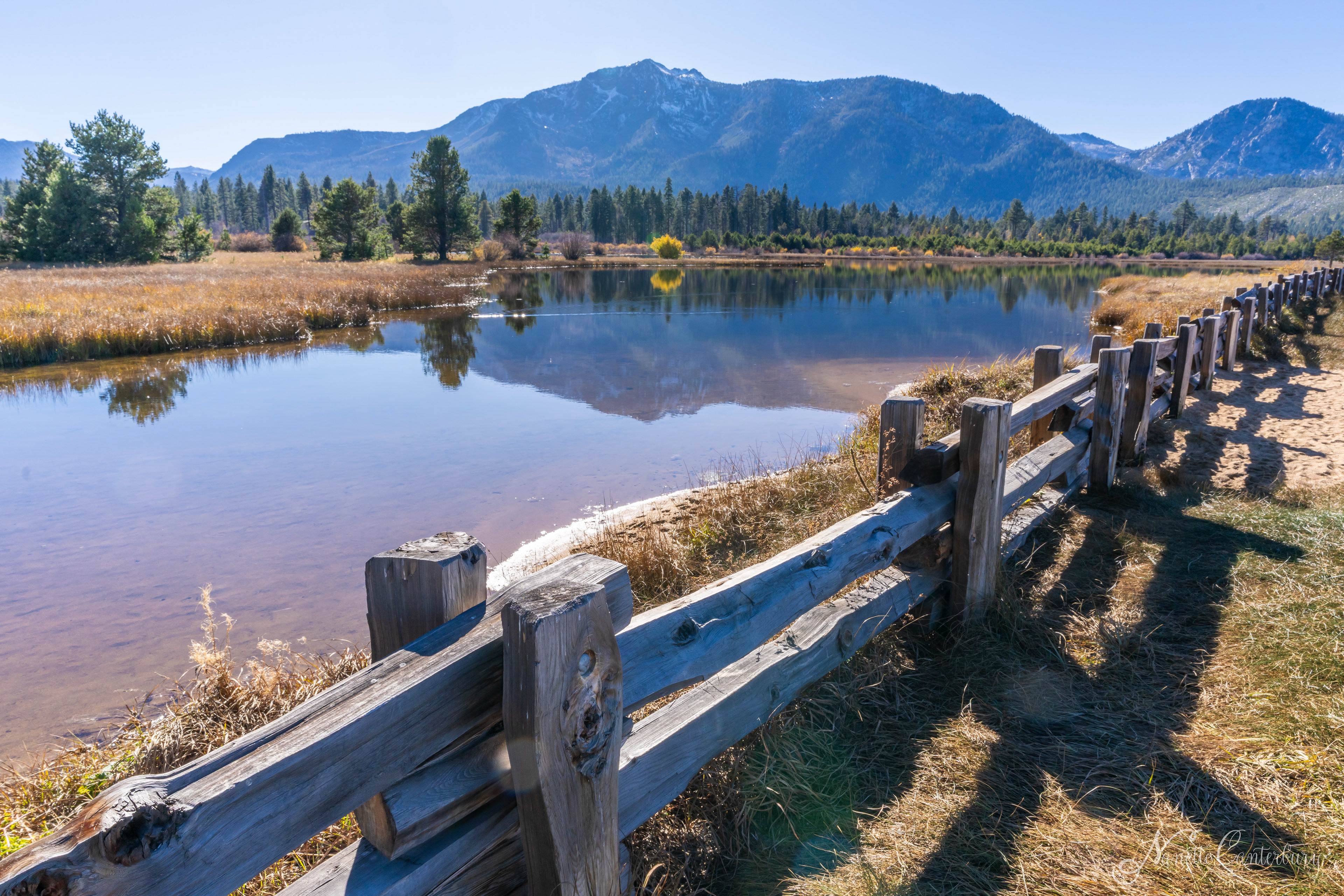 Taylor Creek Marsh