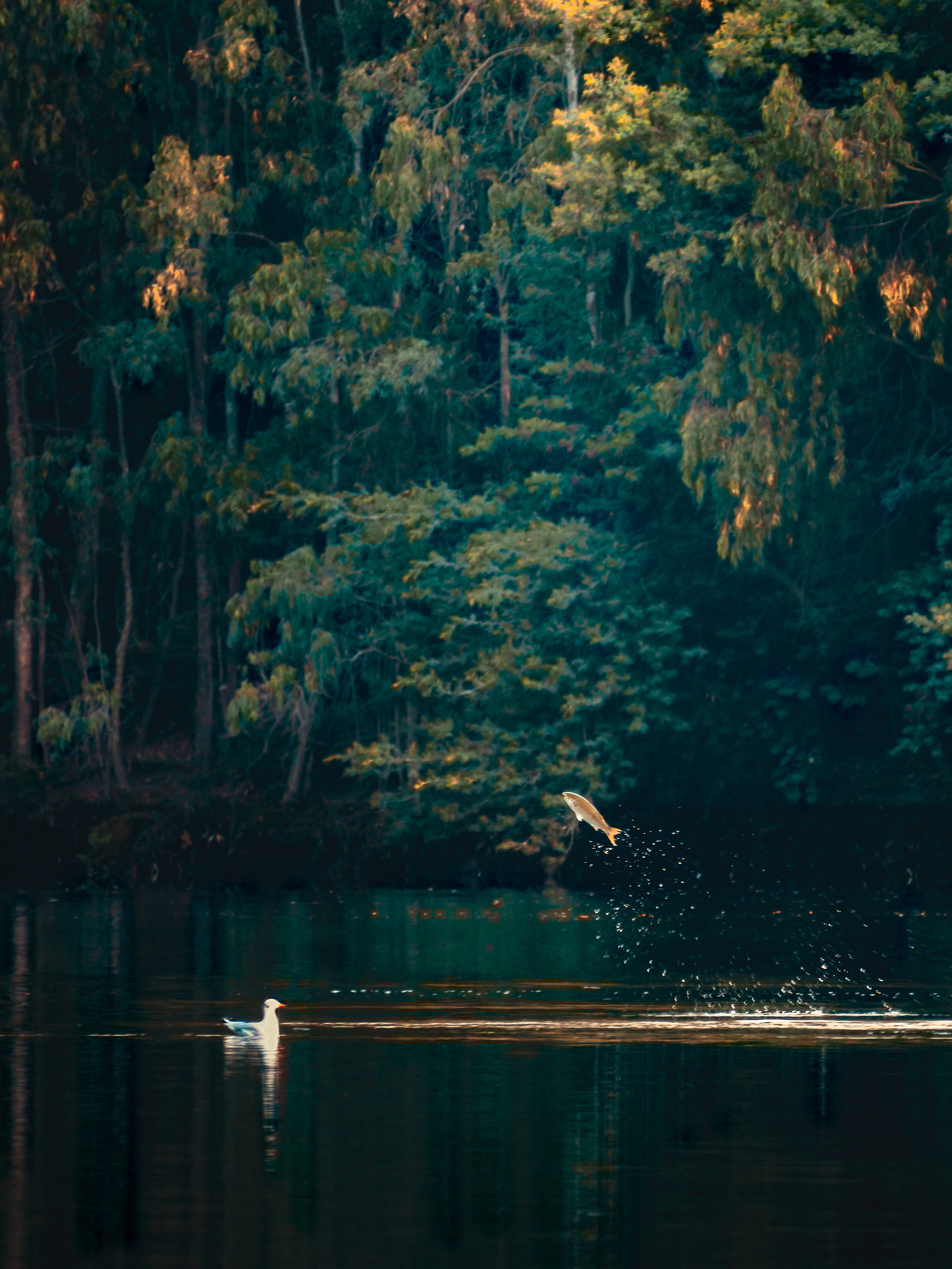 YO VUELO, TÚ VUELAS. 2022.