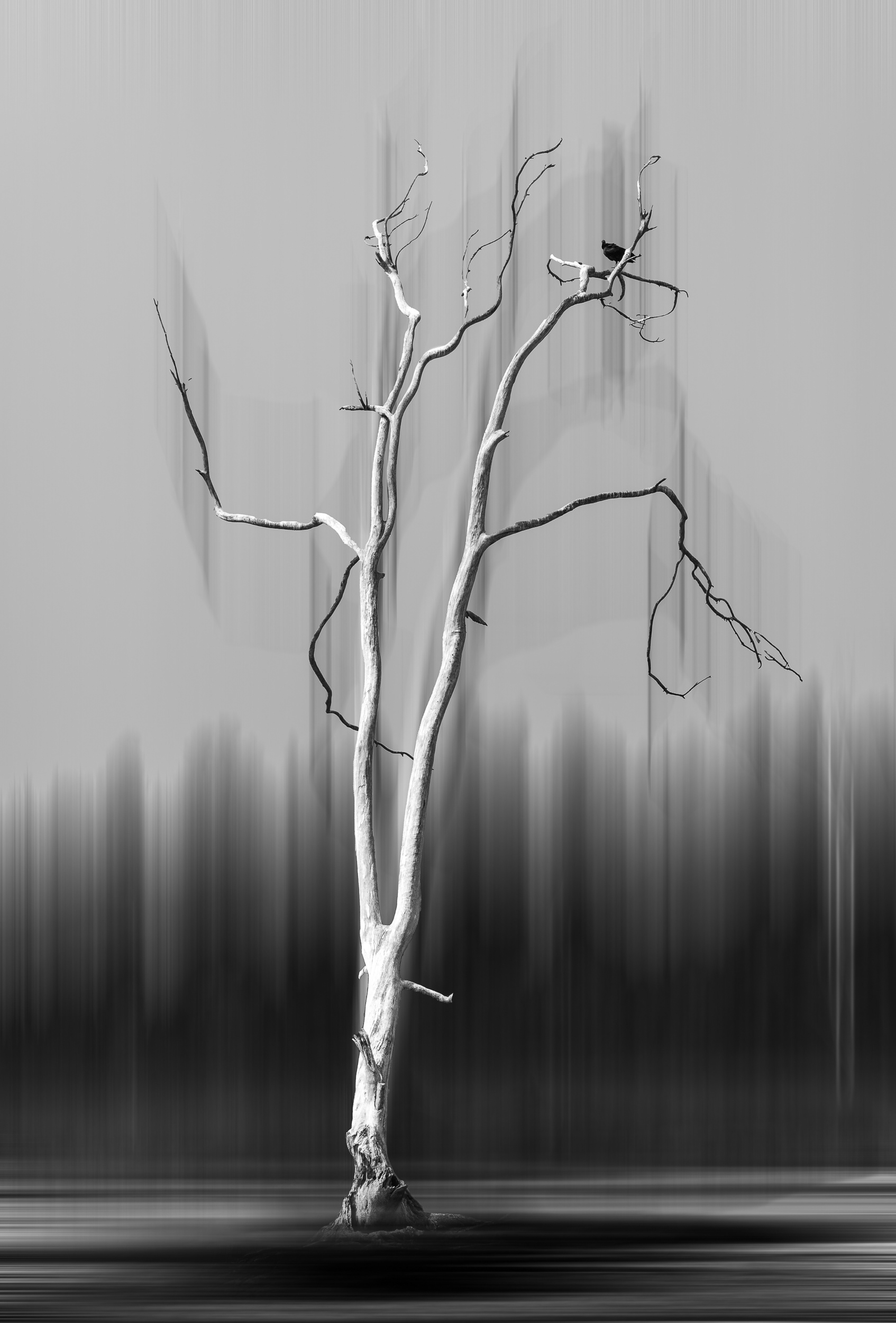 EVENTO TELÚRICO. 2022.