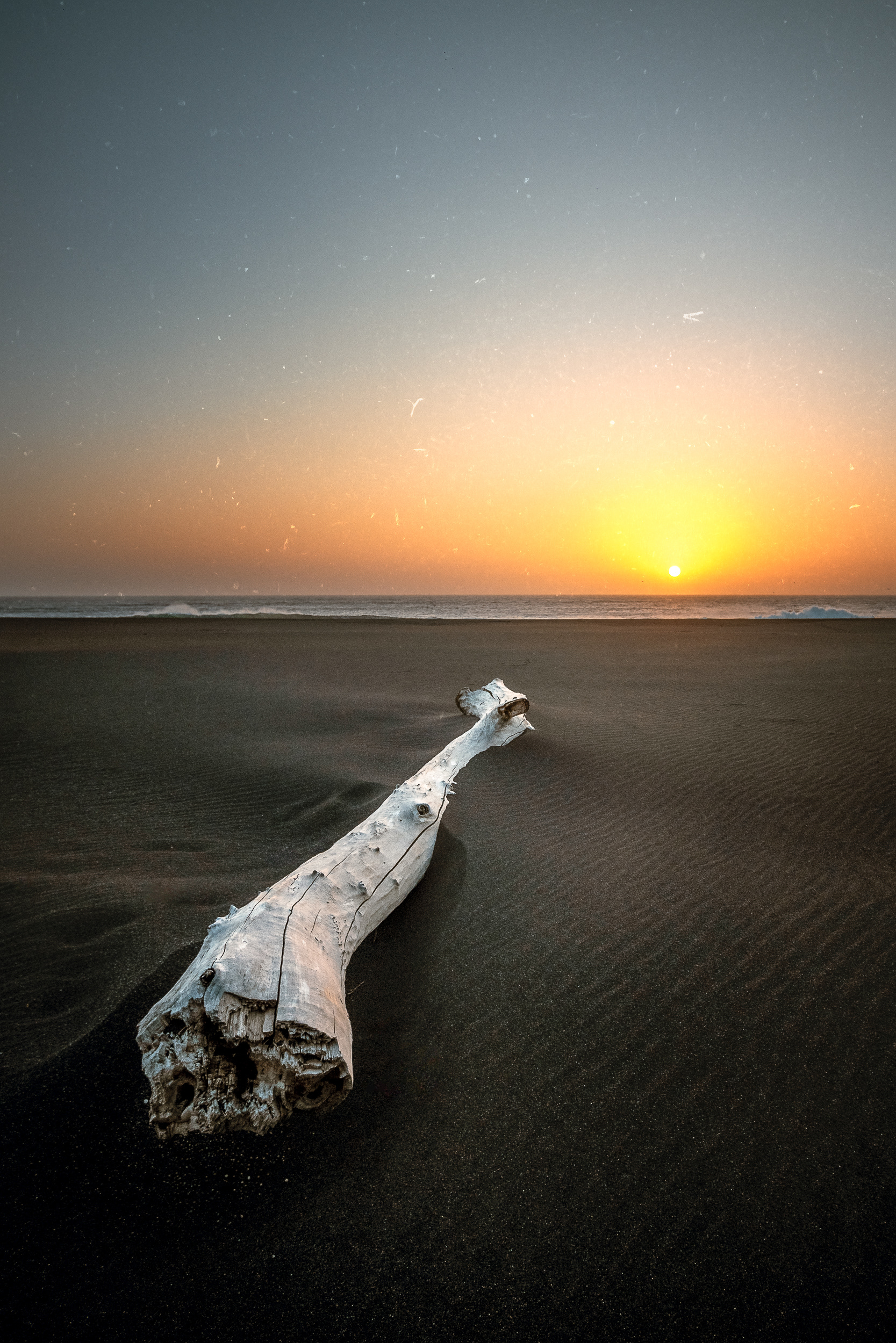 DE VUELTA A LA SAL. 2024.