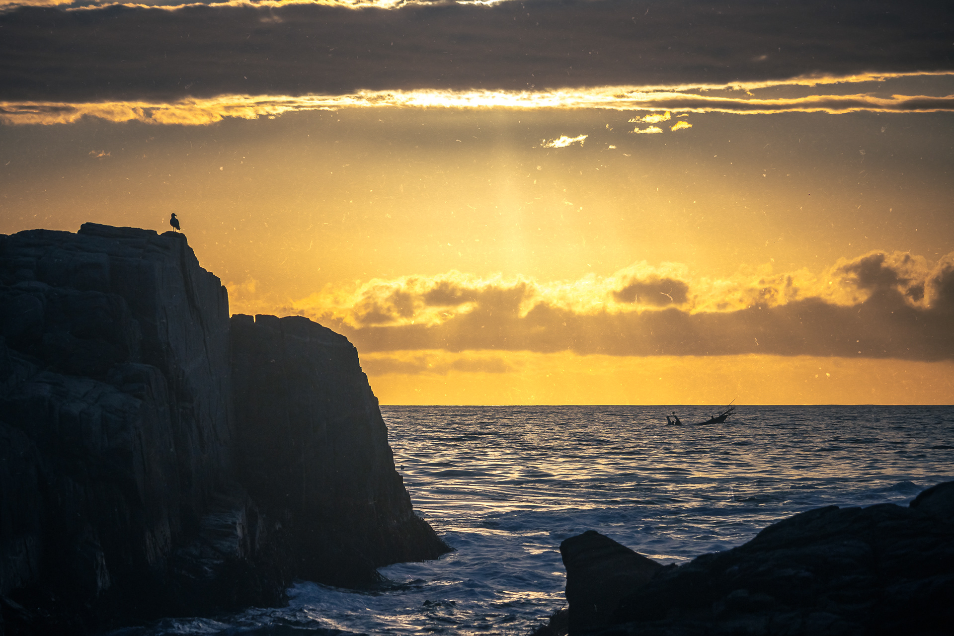 PASEO EN BOTE. 2024.